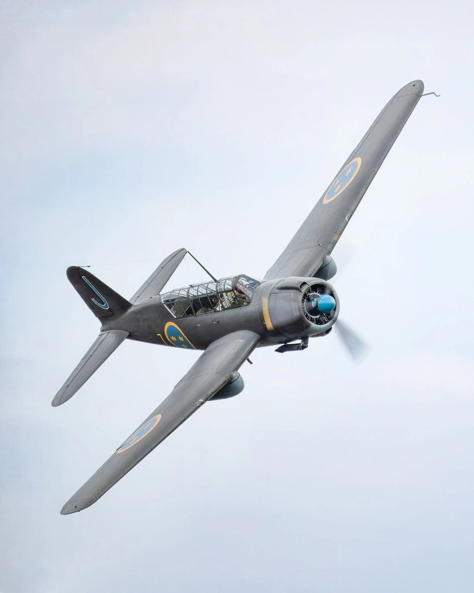 B17.jpg
