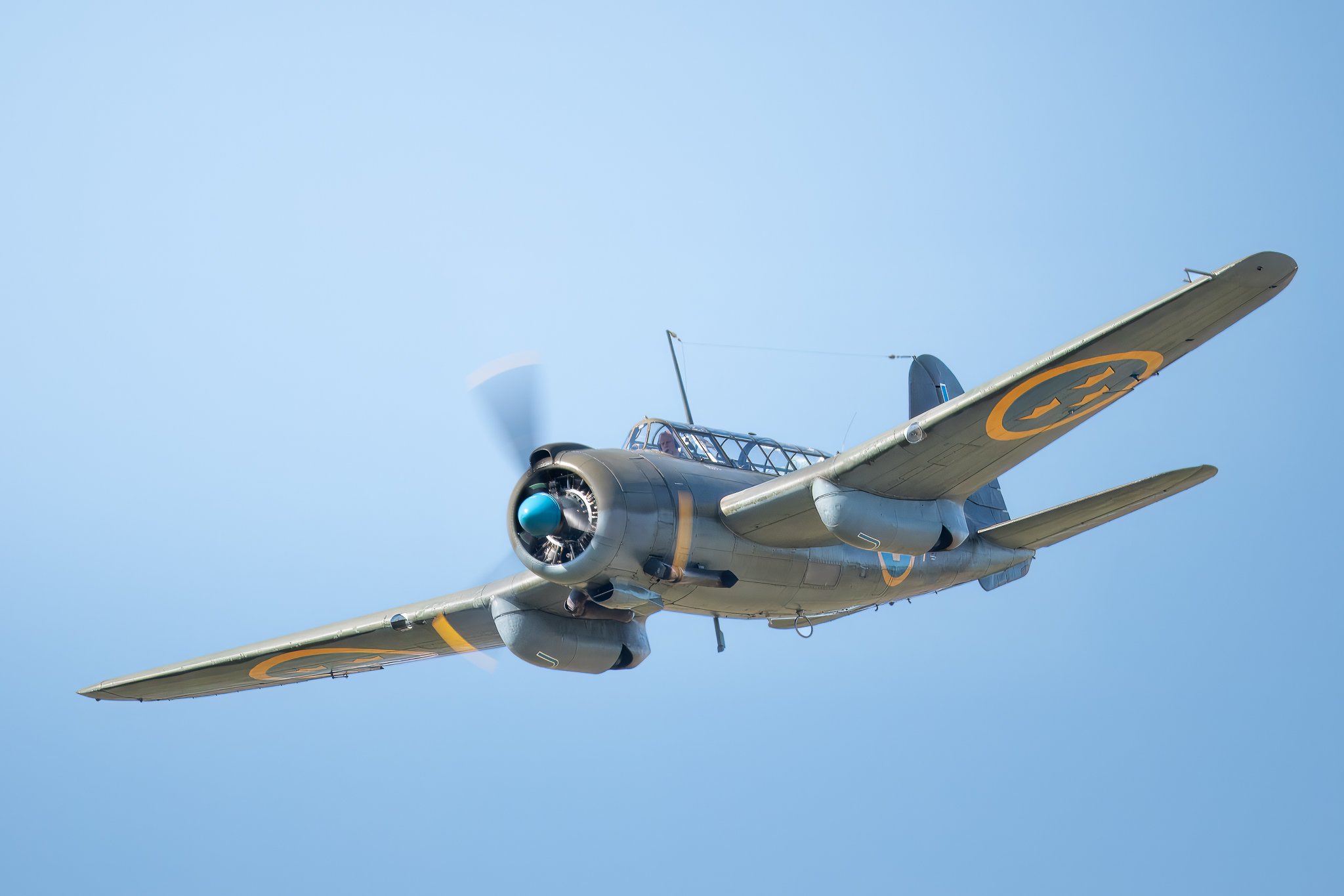 B17.jpg