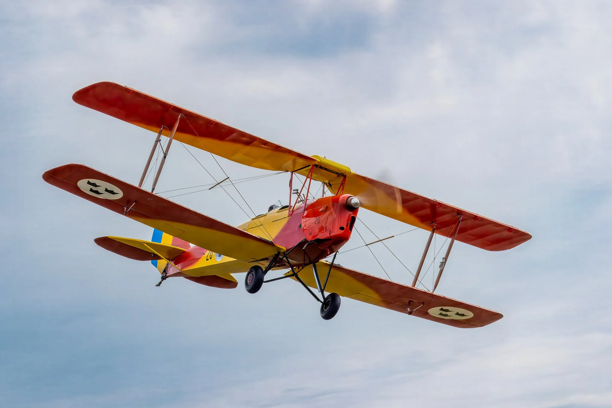 Tiger moth.jpg