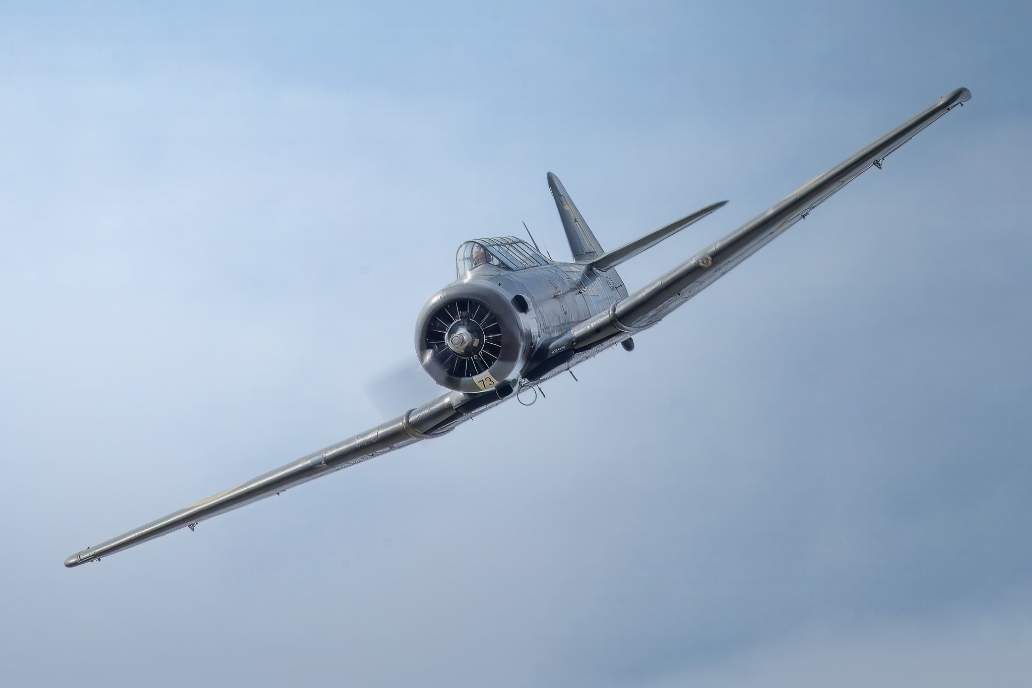 sk16-2.jpg