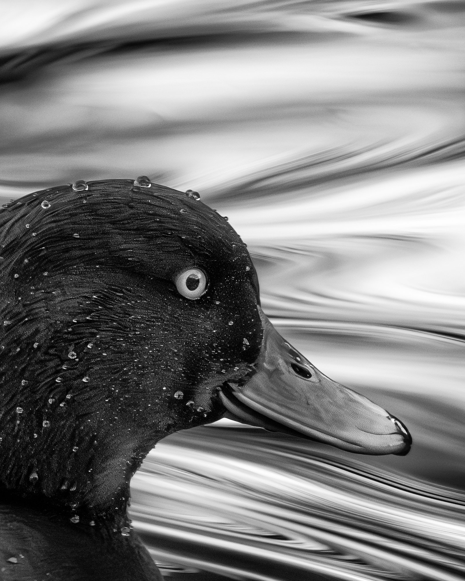 18th Finland International Digital Circuit 2023, 4th Joensuu Salon, & 3rd Kotka Salon, Accepterad