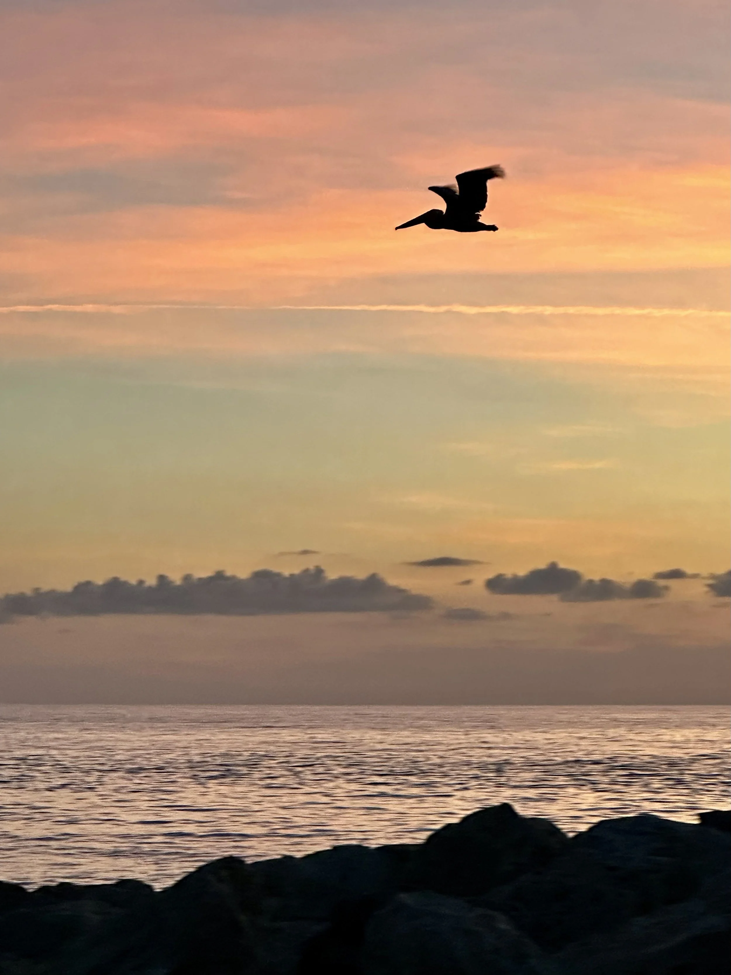 sun set_with_pelican_4813.jpg