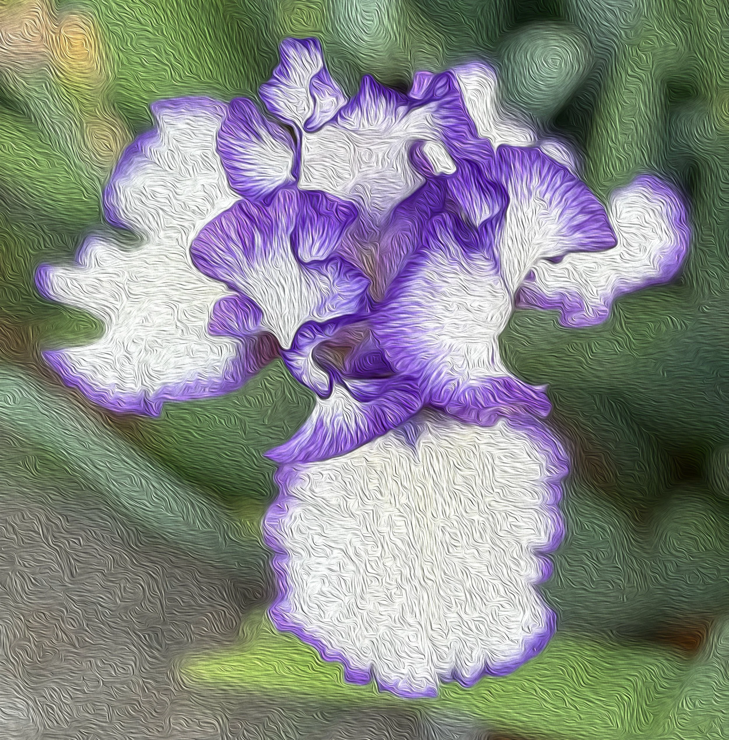 Iris_flower.jpg