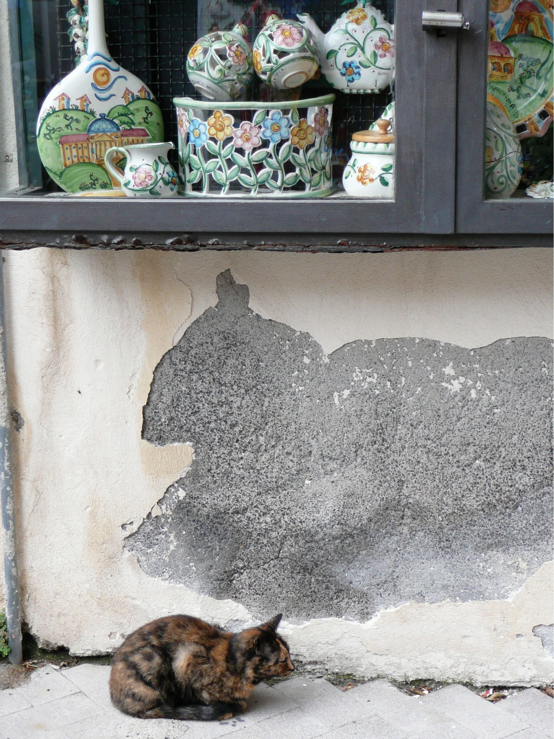 sicilian_cat.jpg