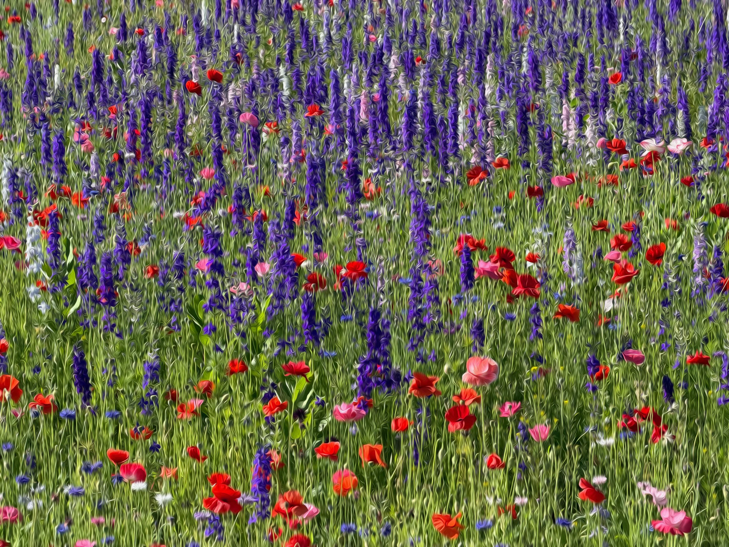 wildflowers-Recovered.jpg