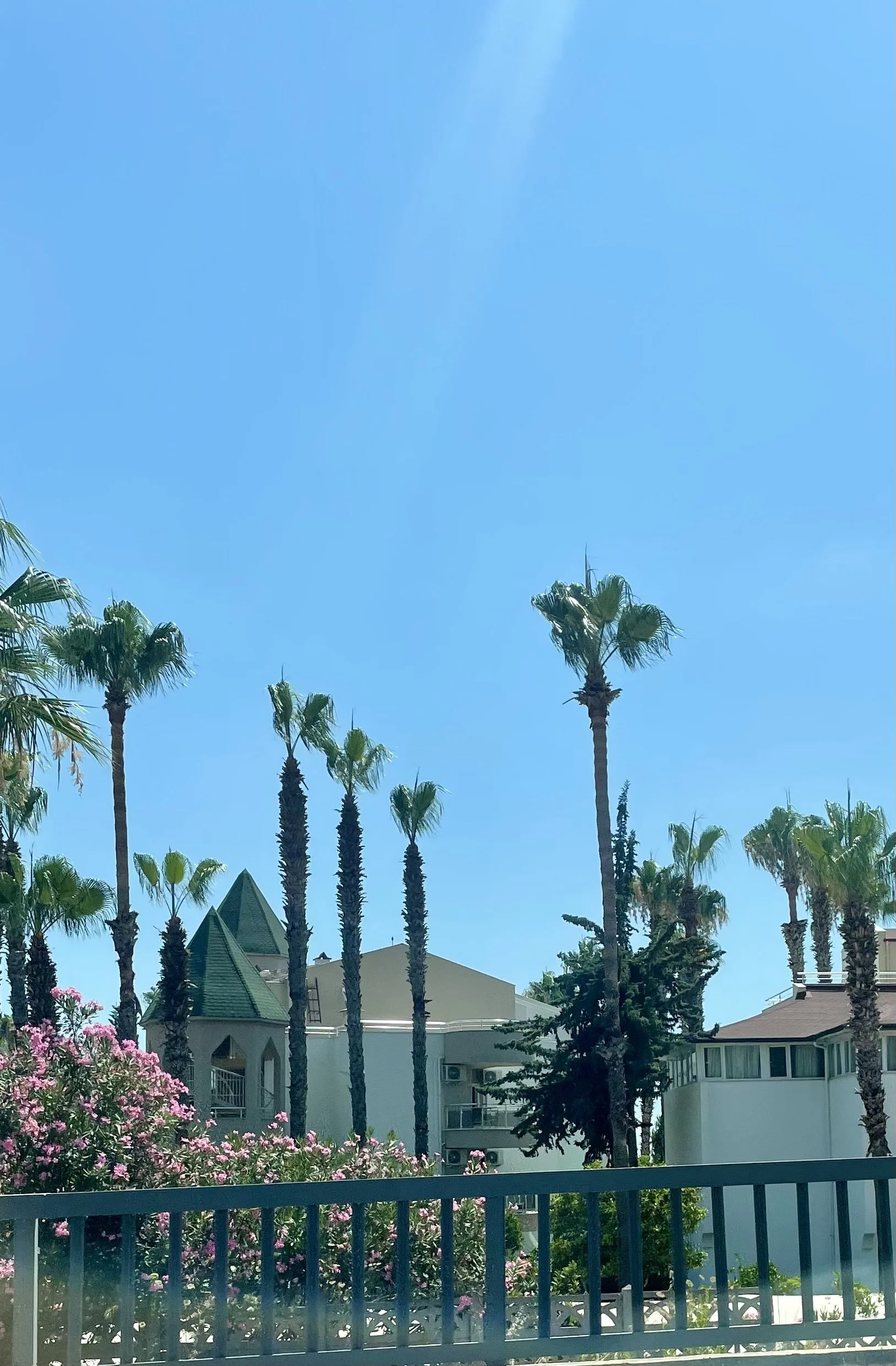  Tatil Sırasında Çektiğimiz Bazı Fotoğraflar 