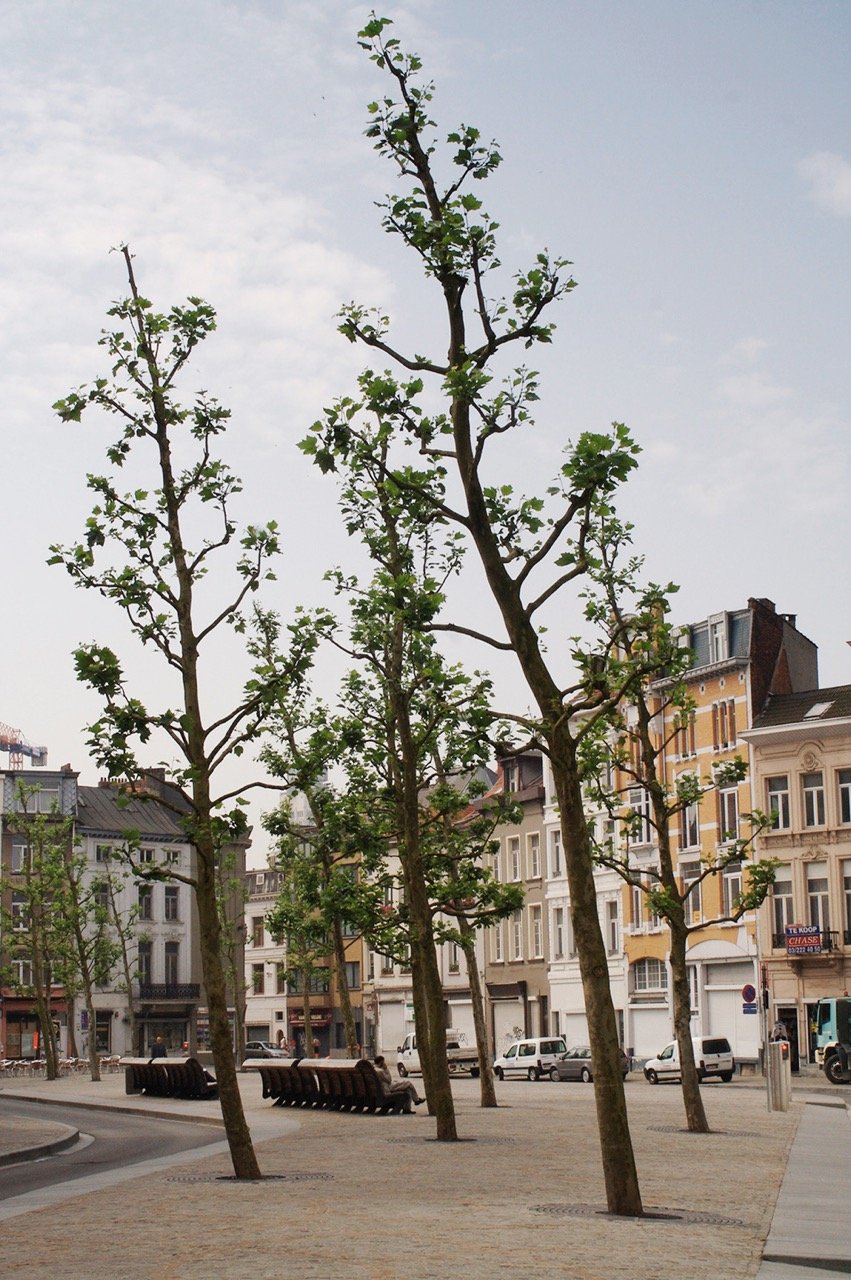 Are the Parks an ‘Error’?