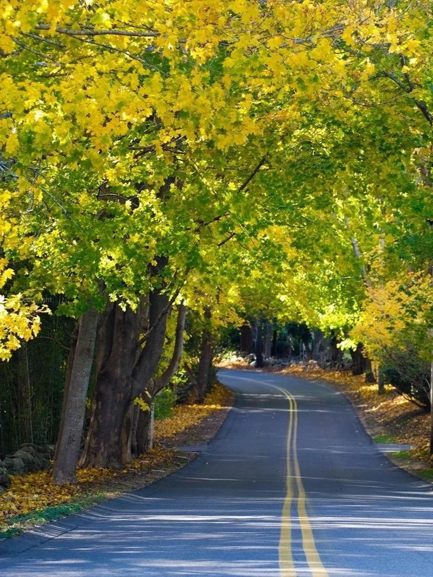 West Tisbury road in fall, Martha's Vineyard — local insurance agency serving all island towns