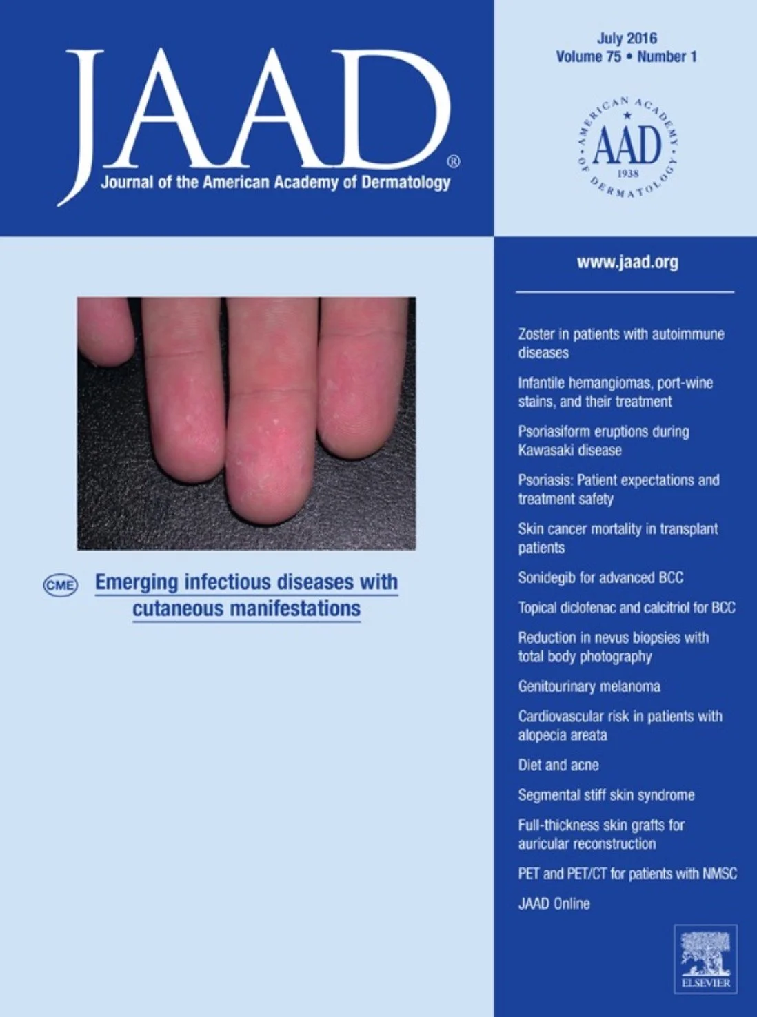 Screenshot 2023-05-31 at 11.04.47 AM.jpg