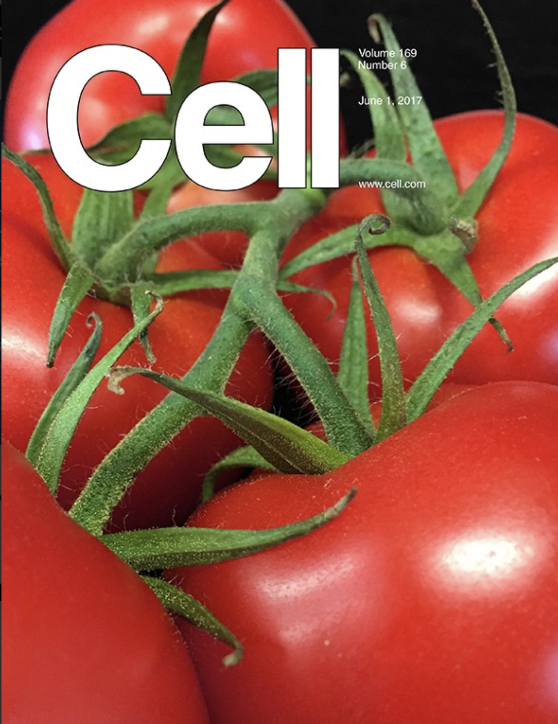 Screenshot 2023-05-31 at 11.02.22 AM.png