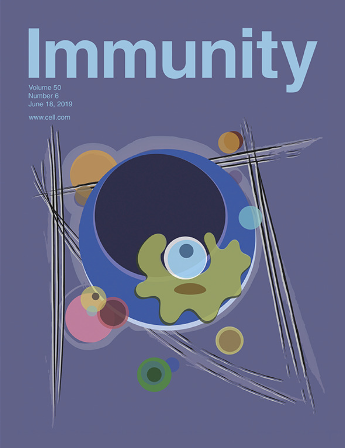 Screenshot 2023-05-31 at 11.00.36 AM.png