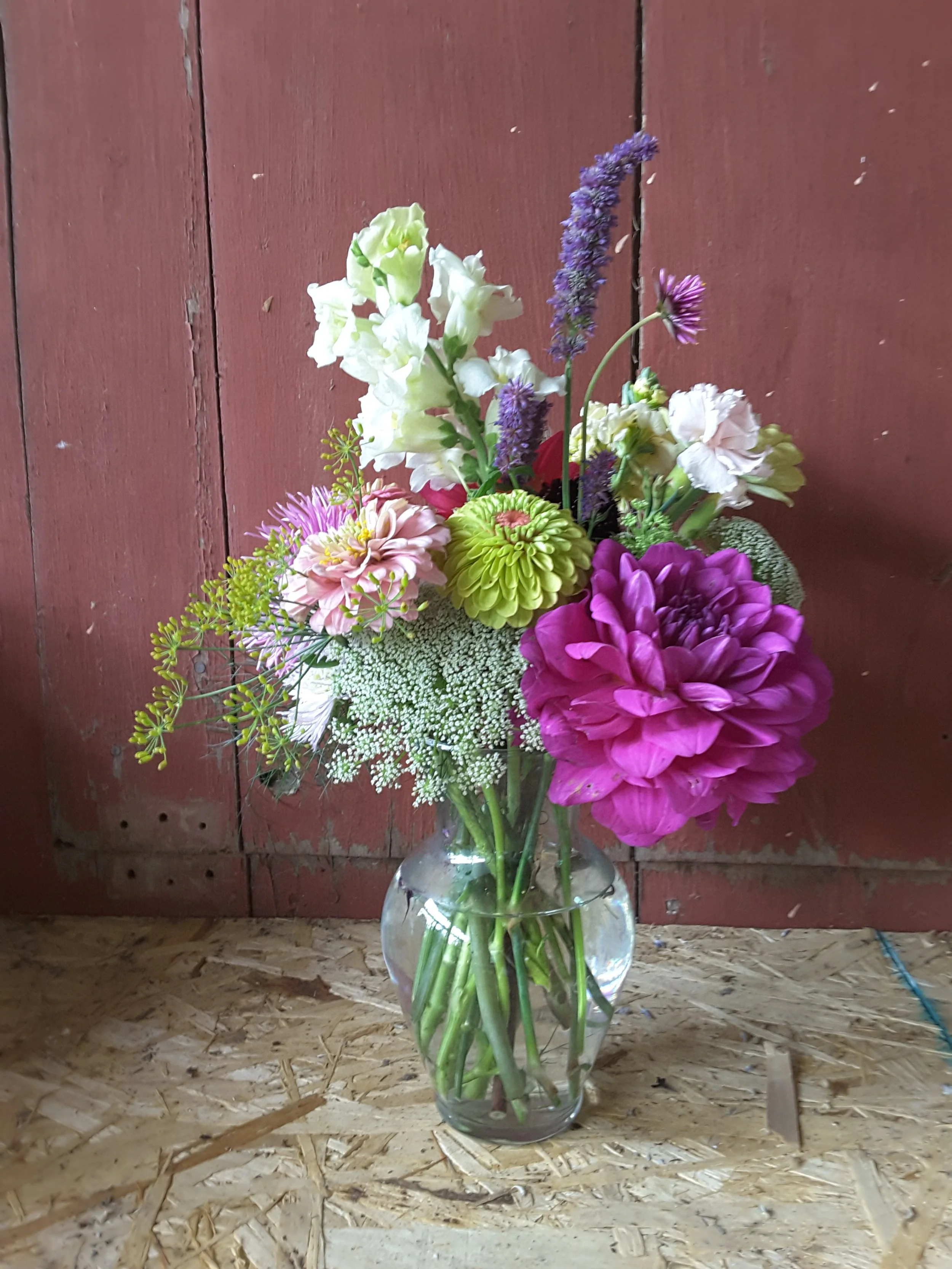 Copy of 20170902_150107.jpg