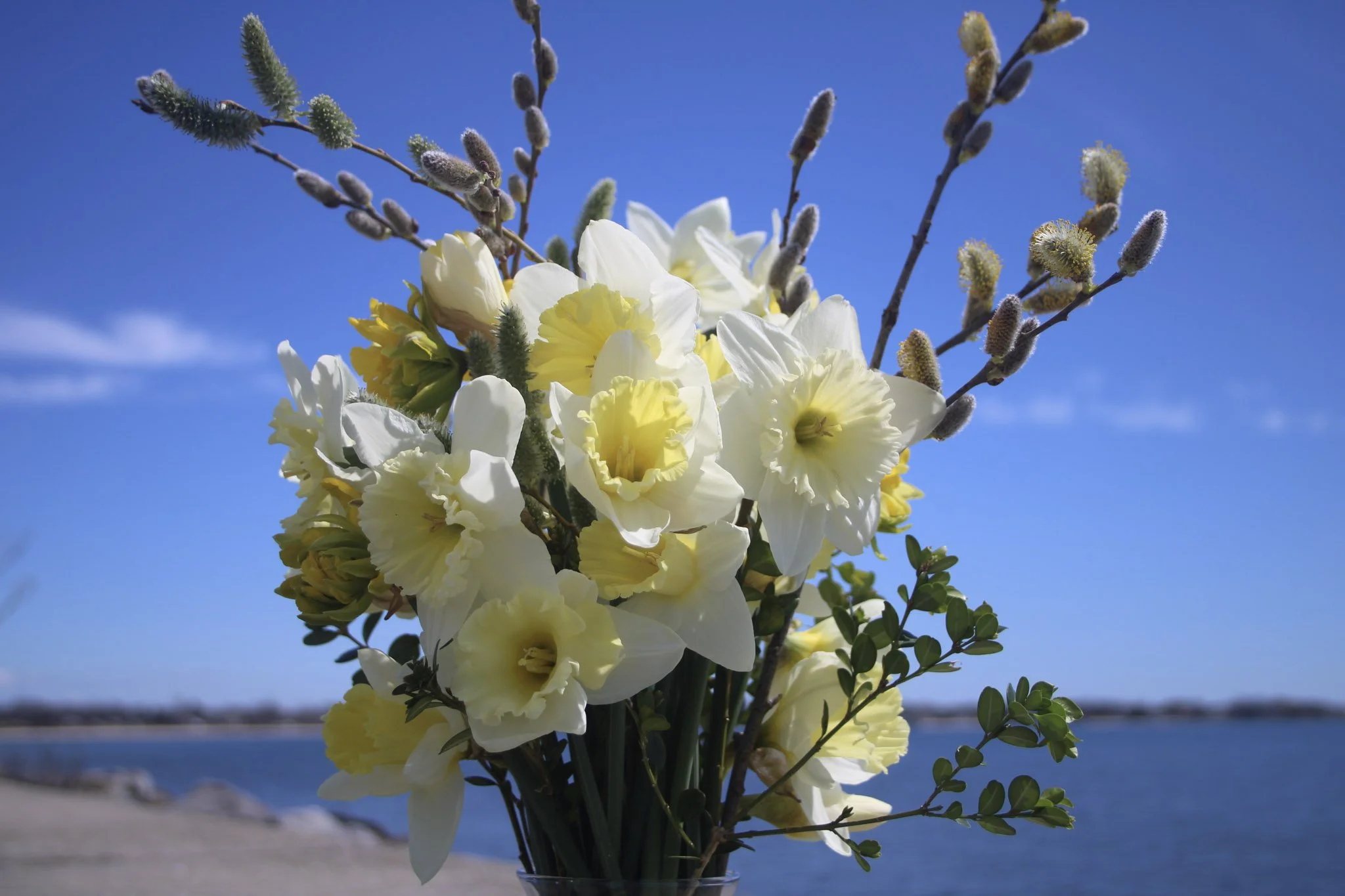 24-IMG_0115 - Copy.jpg