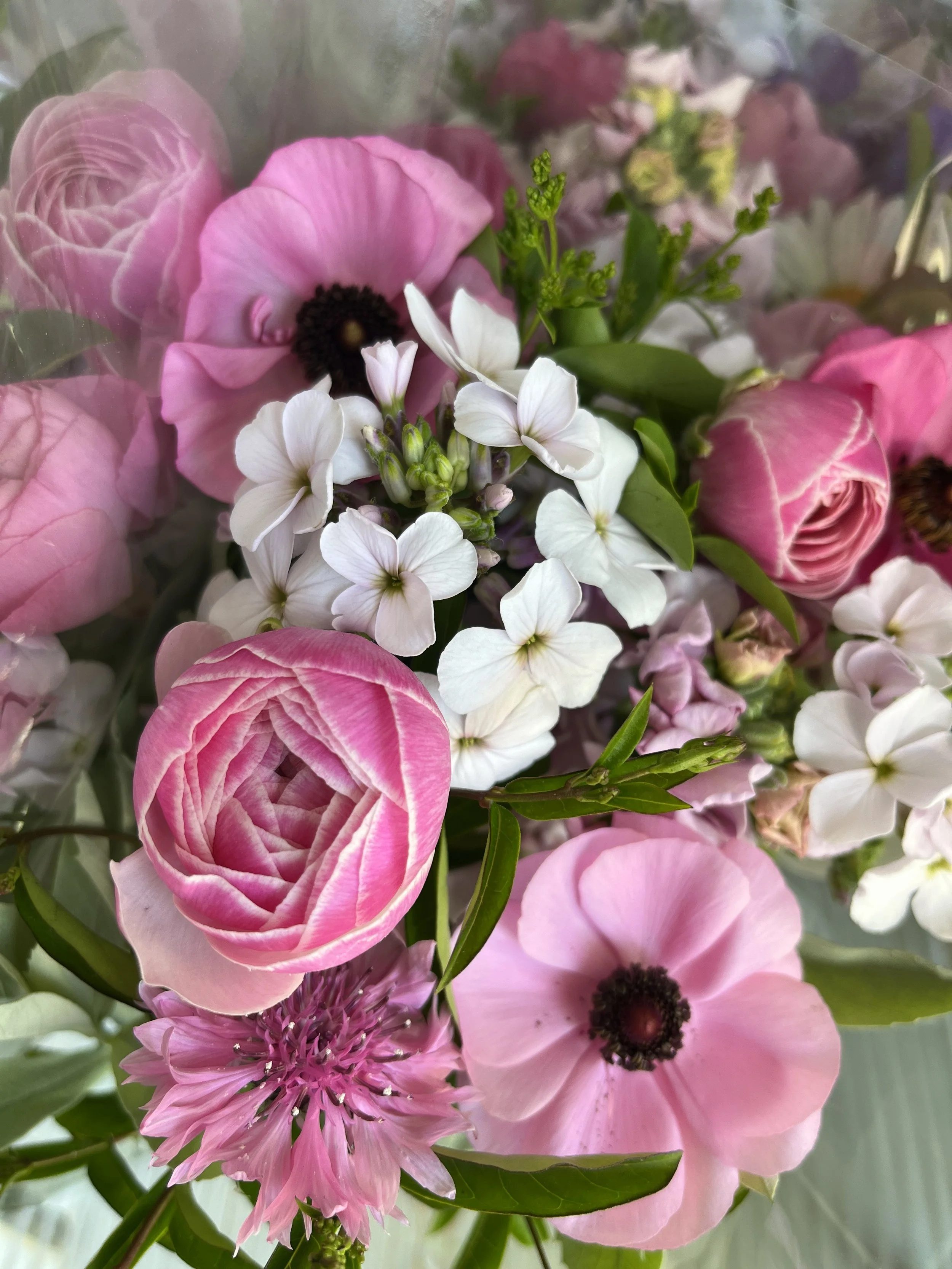 phlox bachelor buttons ranunuculs.jpg