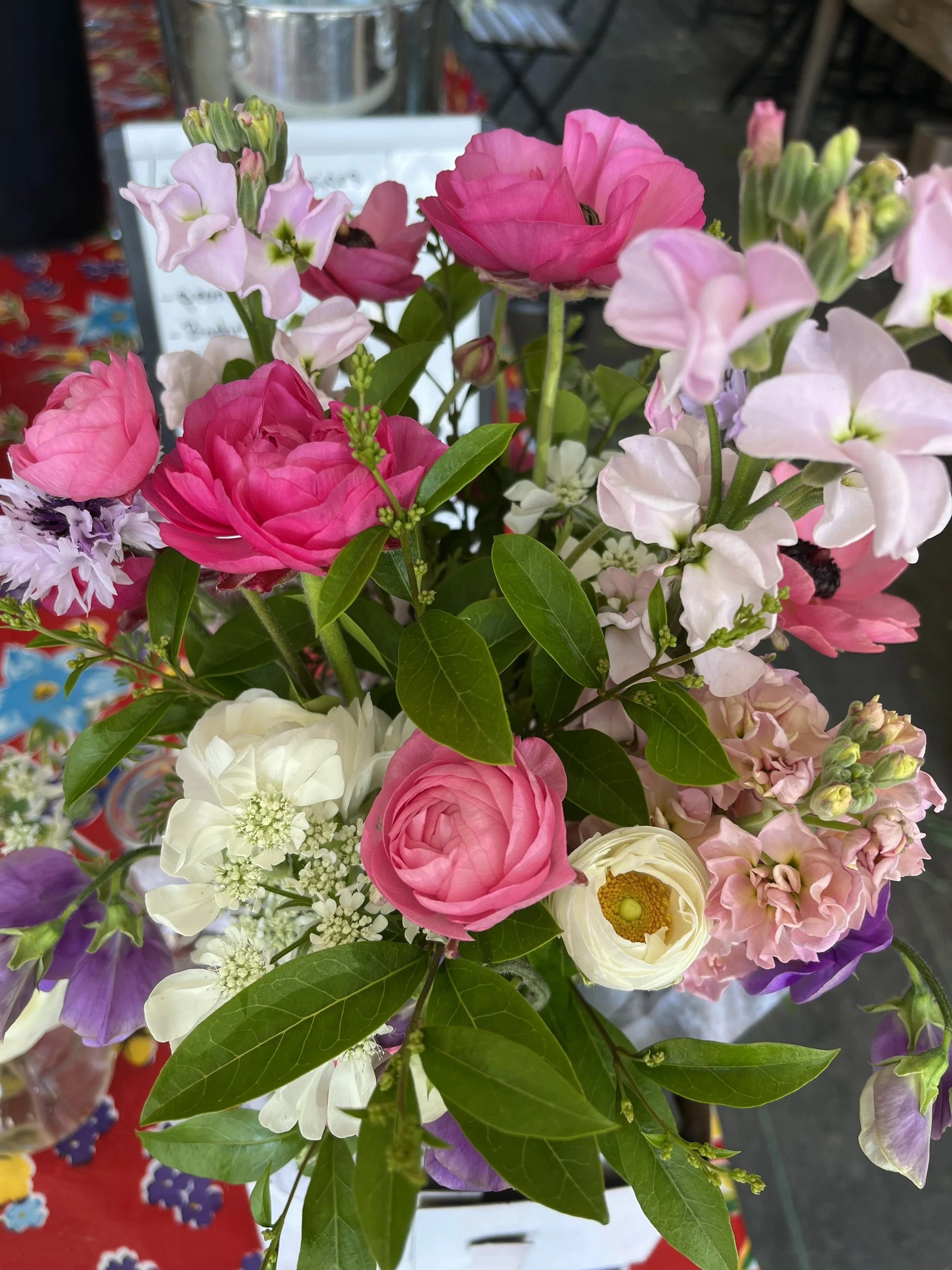 orlaya stock tulips.jpg