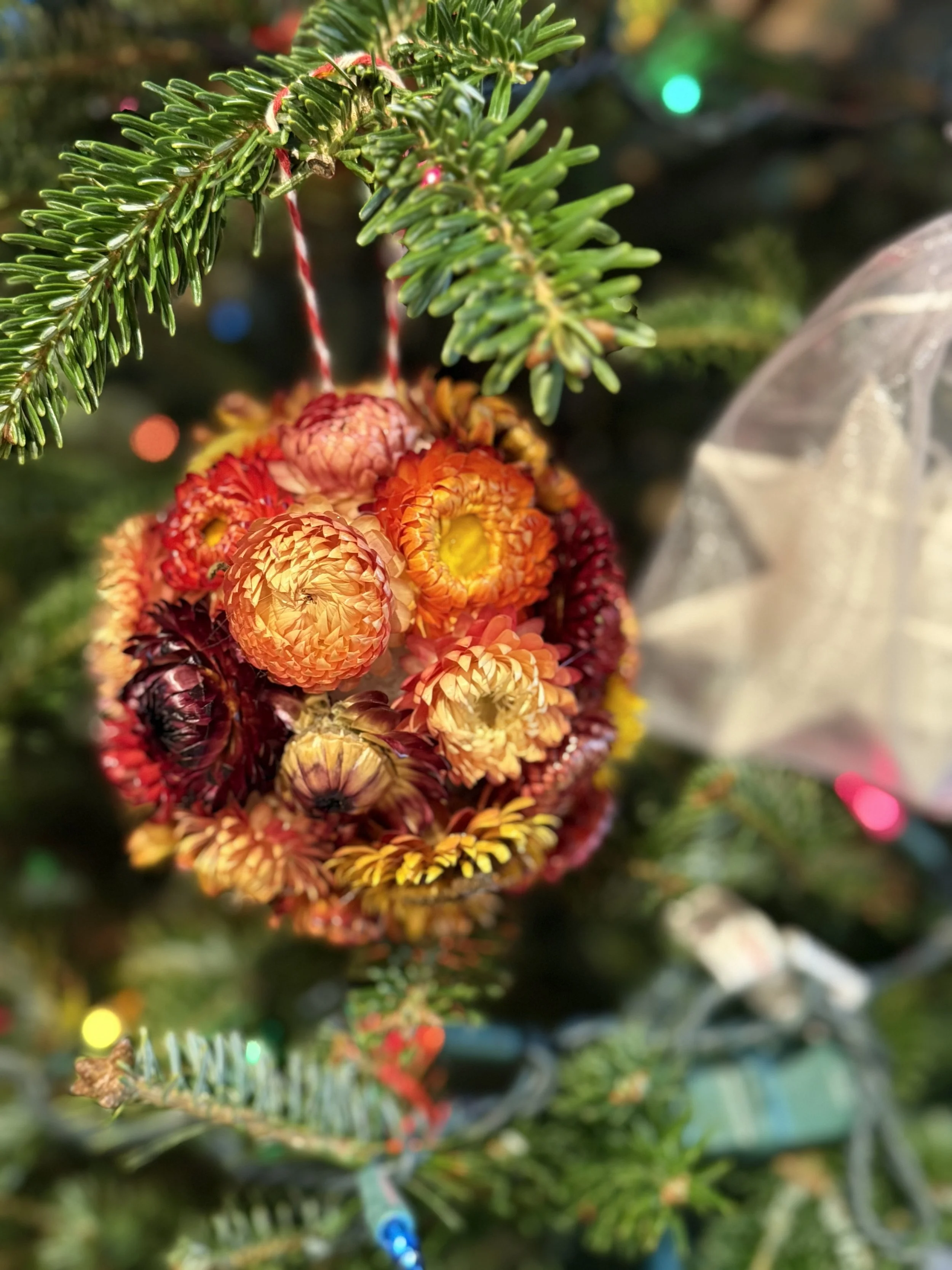 ball orange ornament.jpg