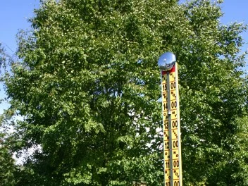 Kraftprøver For Børn Og Voksne