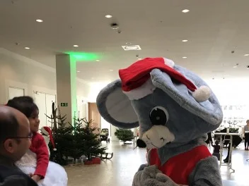 Mus kostumet/dragten