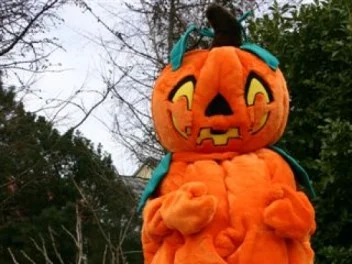 Græskar kostumet/dragten