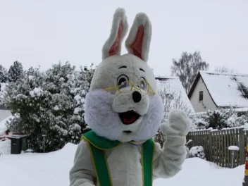 Påskehare kostumet/dragten