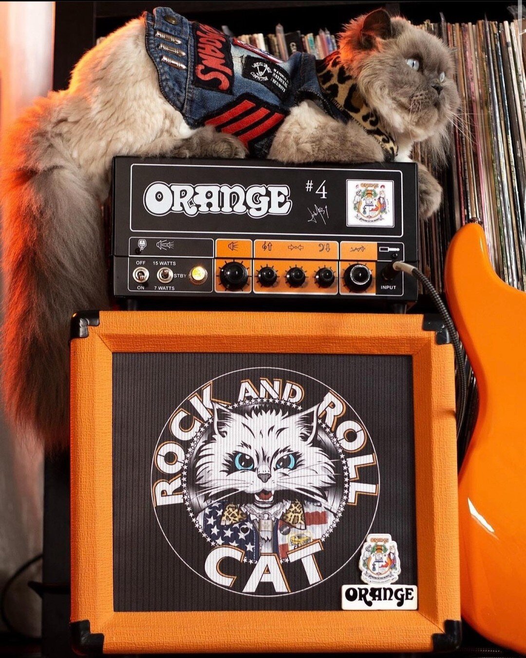 So anyways, here&rsquo;s Cat Scratch Fever&hellip;😼

Blessing your Friday with this furr-rocious custom grill cloth for @rock_and_roll_cat that&rsquo;s just the cat&rsquo;s pajamas! Featuring our furry friend @stagedivercat at resting quite comforta