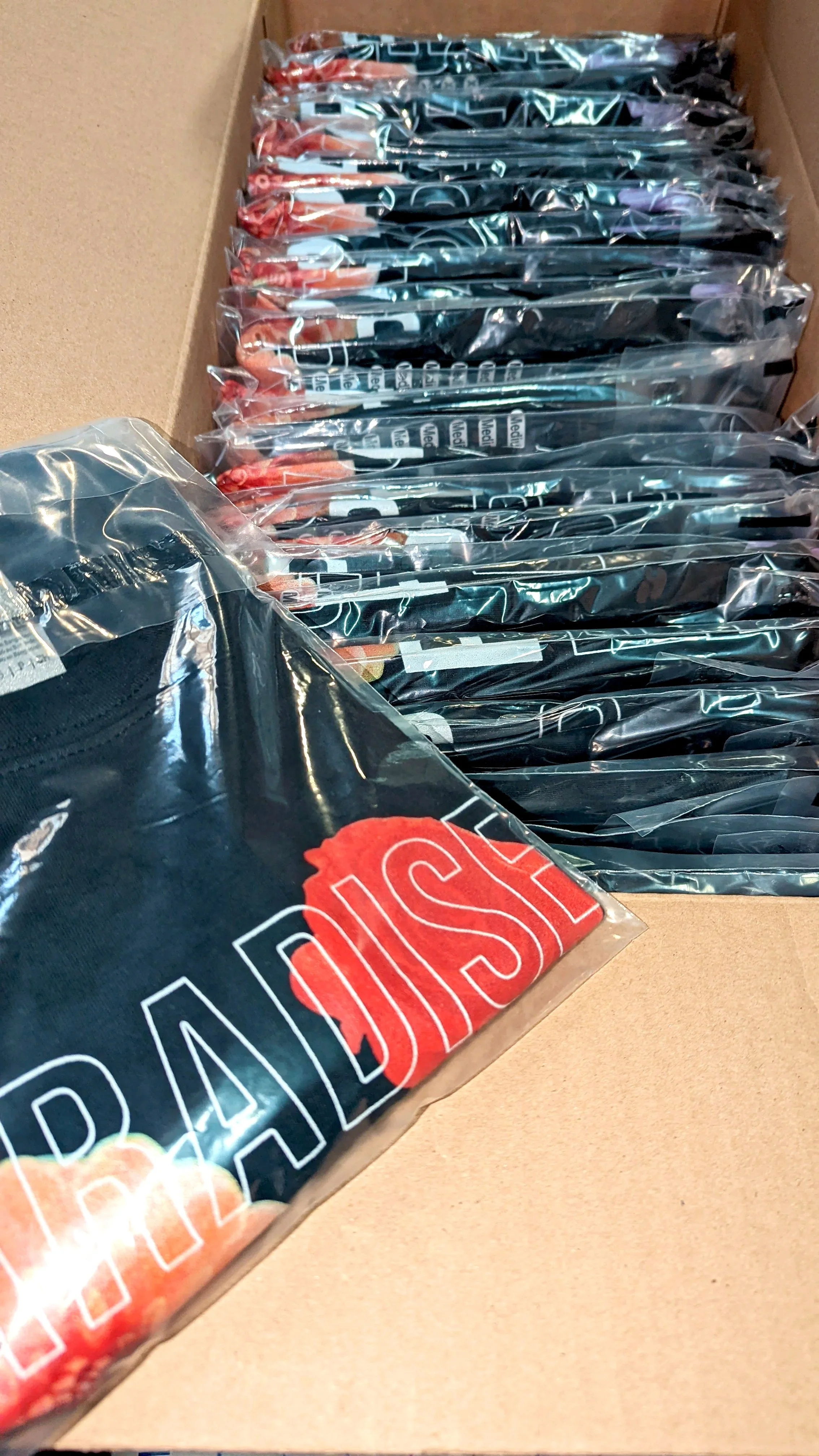 Festival Merch Designer & Printer // Woodshed Stage Art