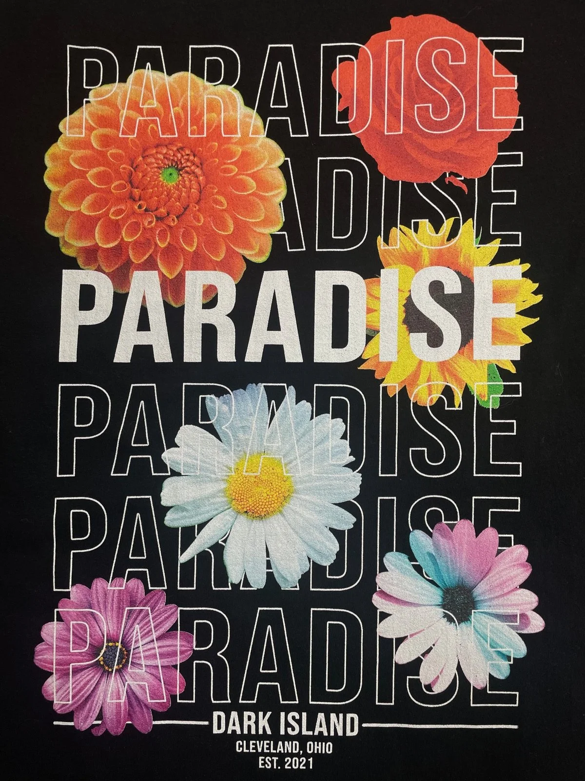 Full-Color Digital DTG Band Merch // Woodshed Stage Art