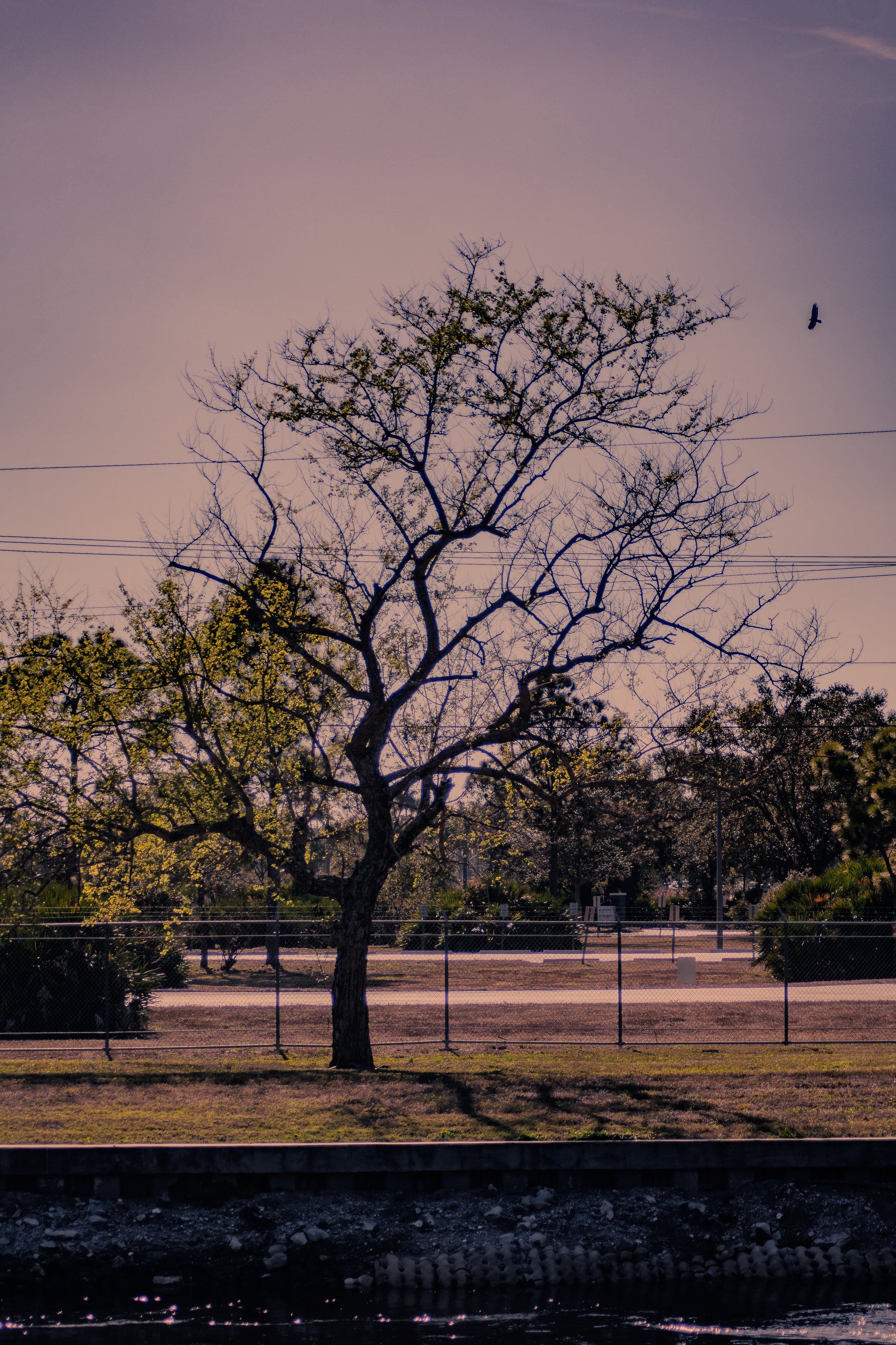 DSC_1969.jpg