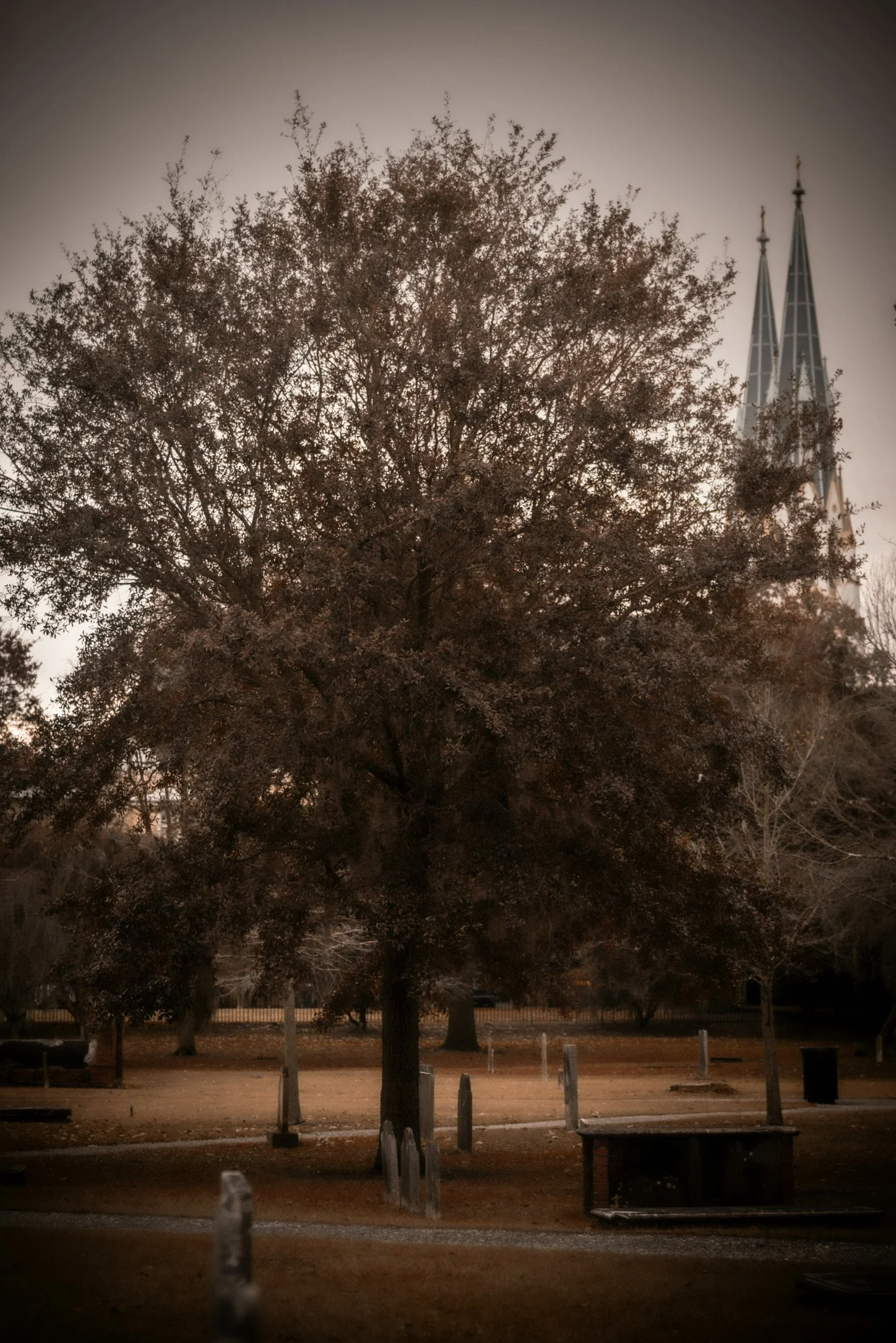 Portfolio-049.JPG