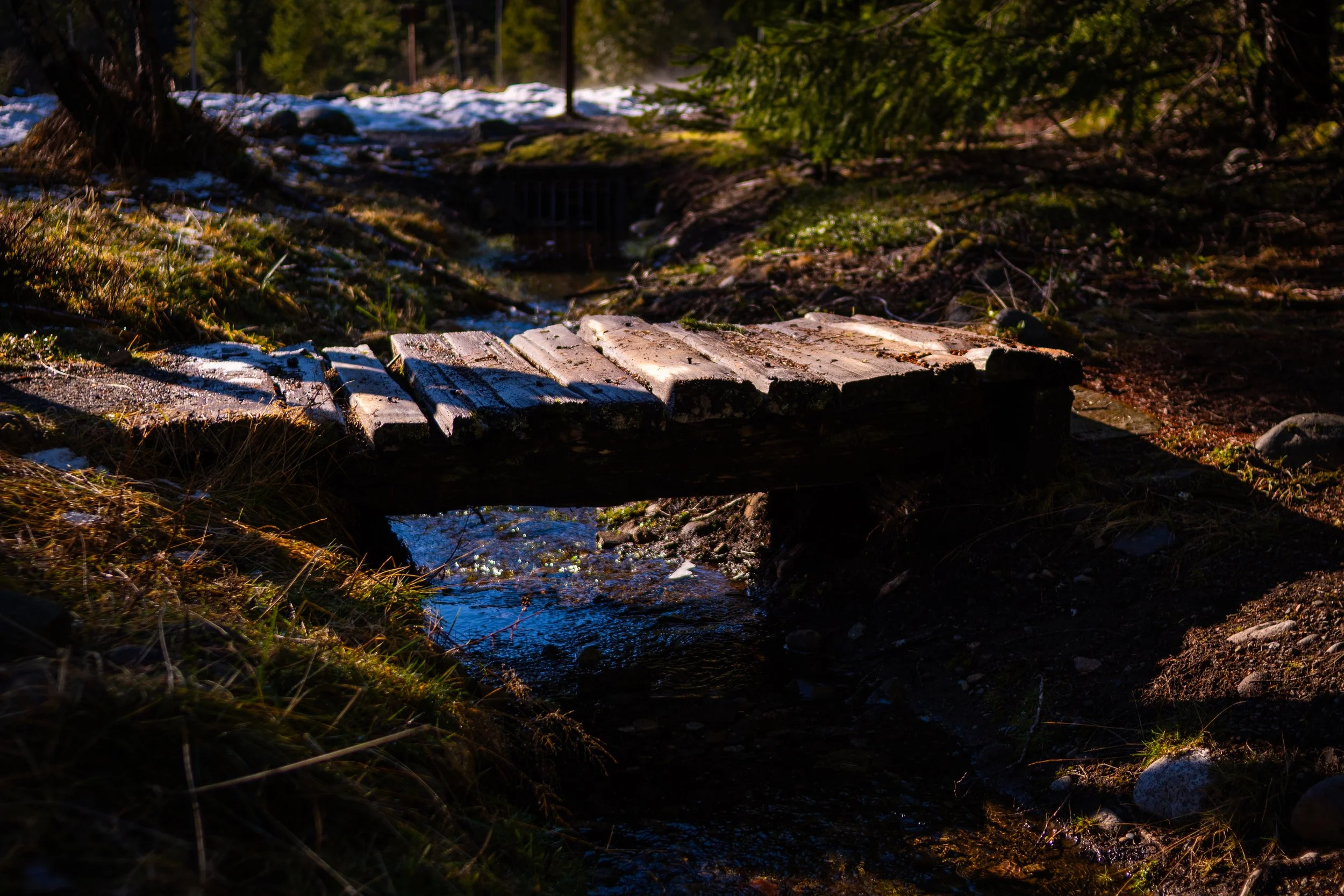 DSC_1608.jpg