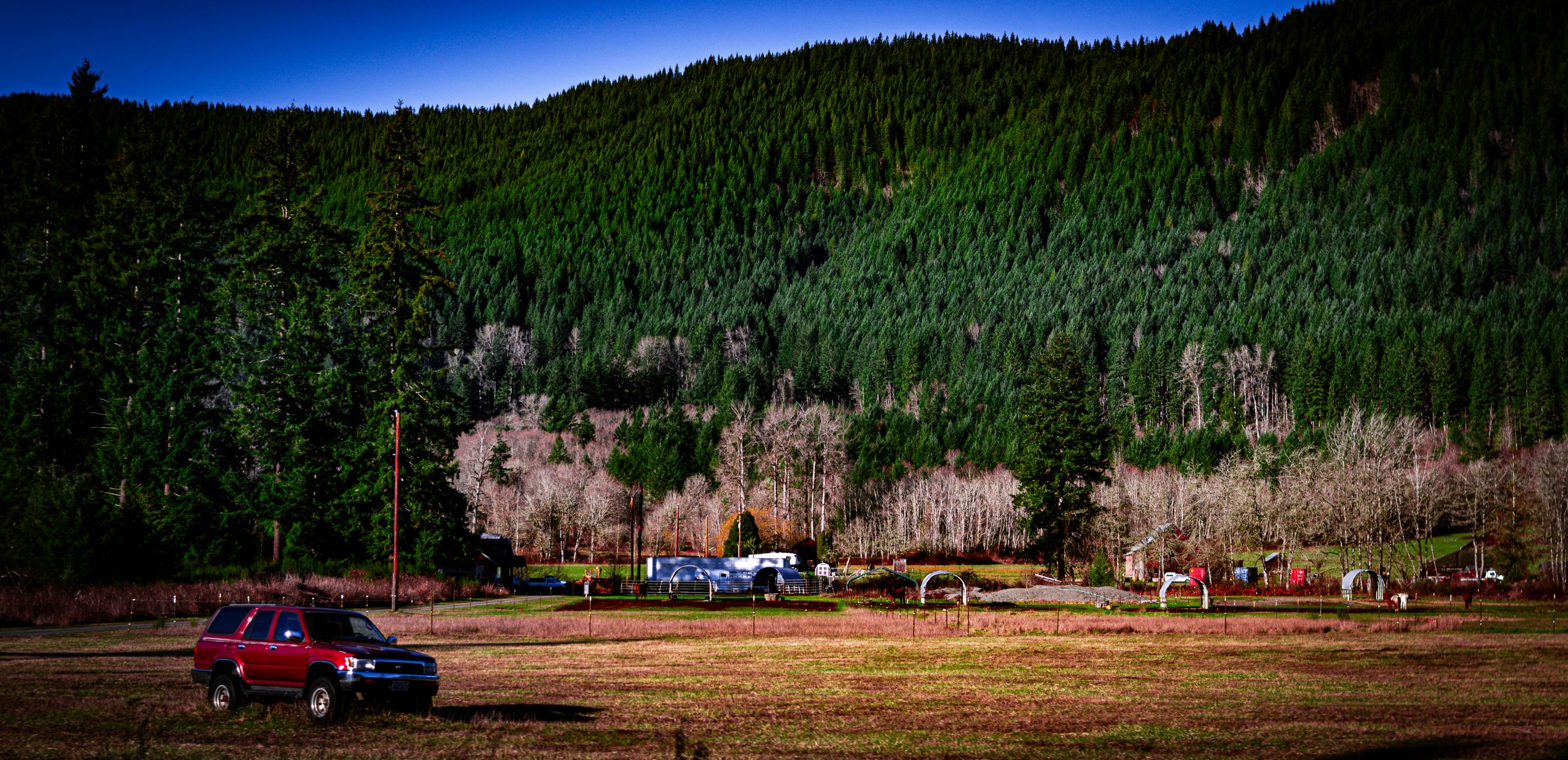 DSC_1745.jpg