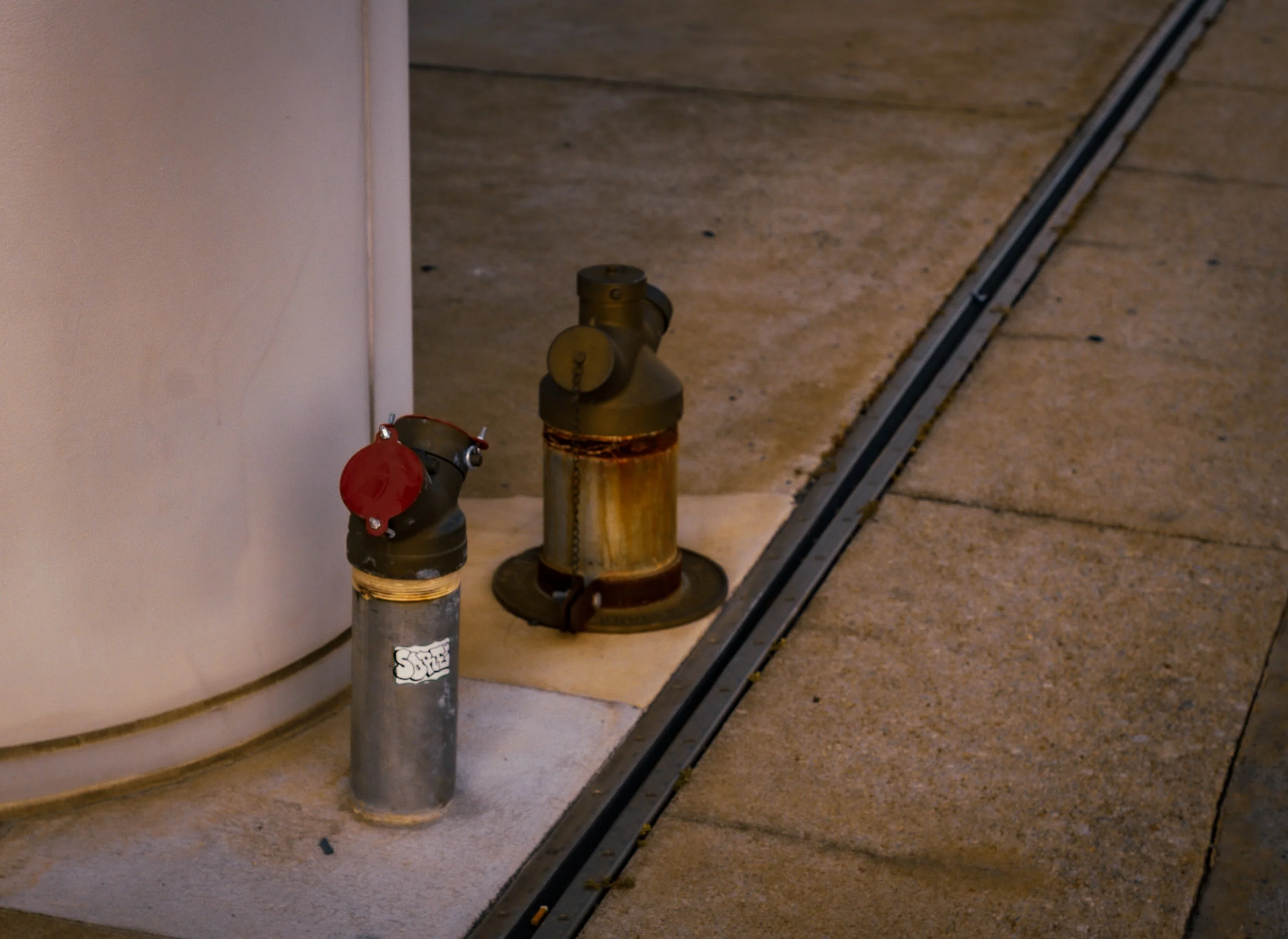 DSC_2398.jpg