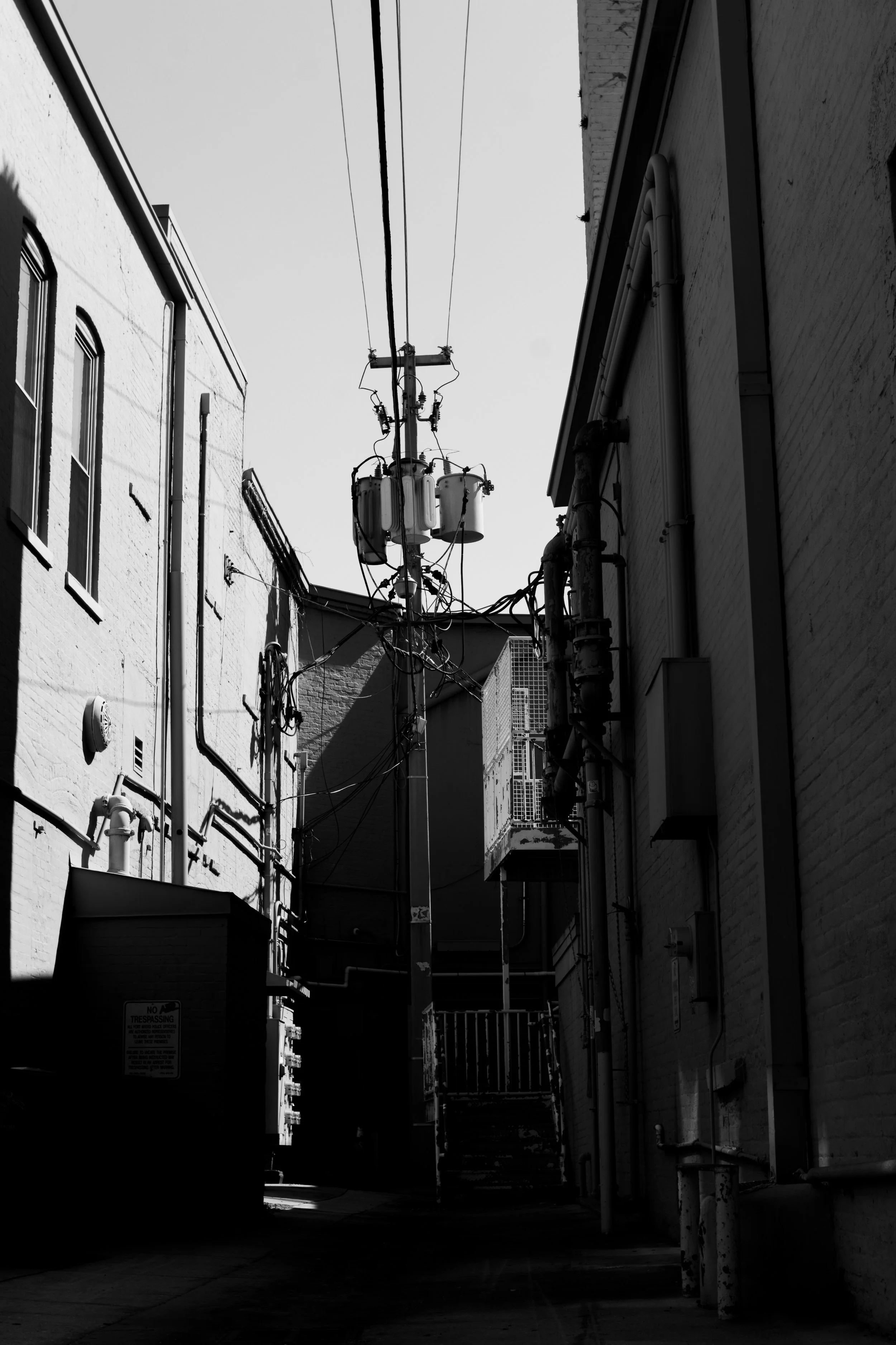 DSC_1856.jpg