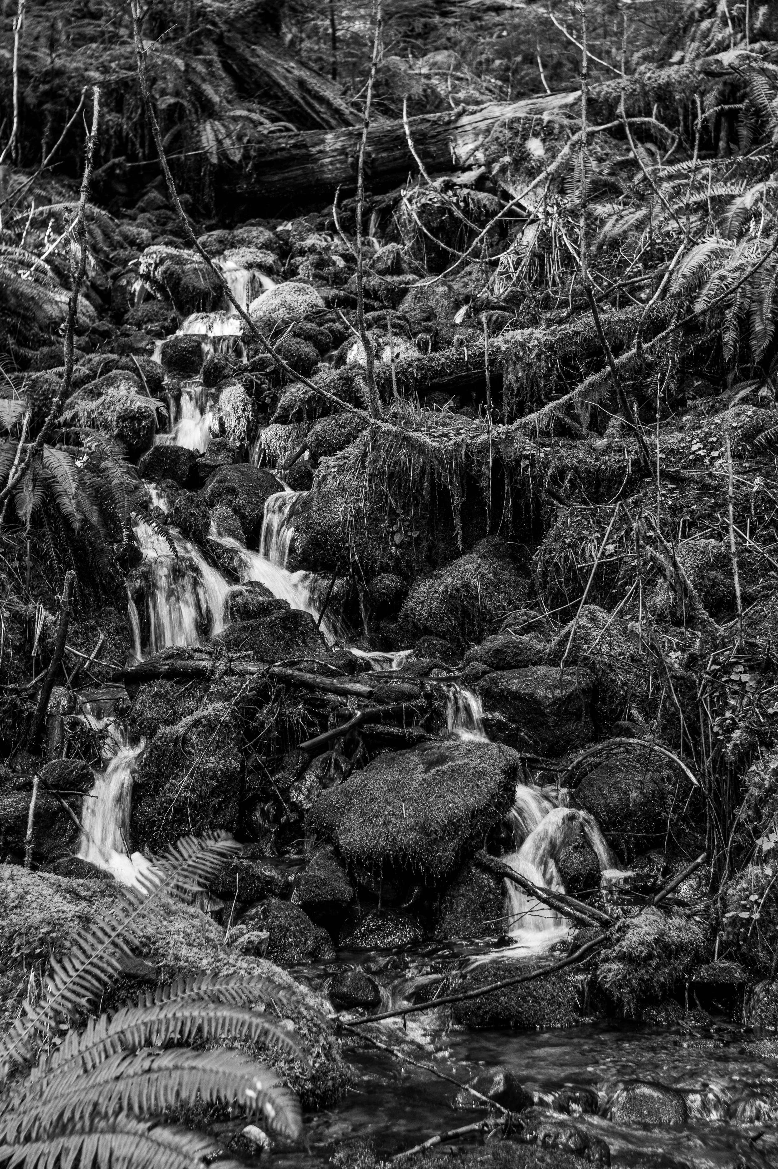 DSC_1730.jpg