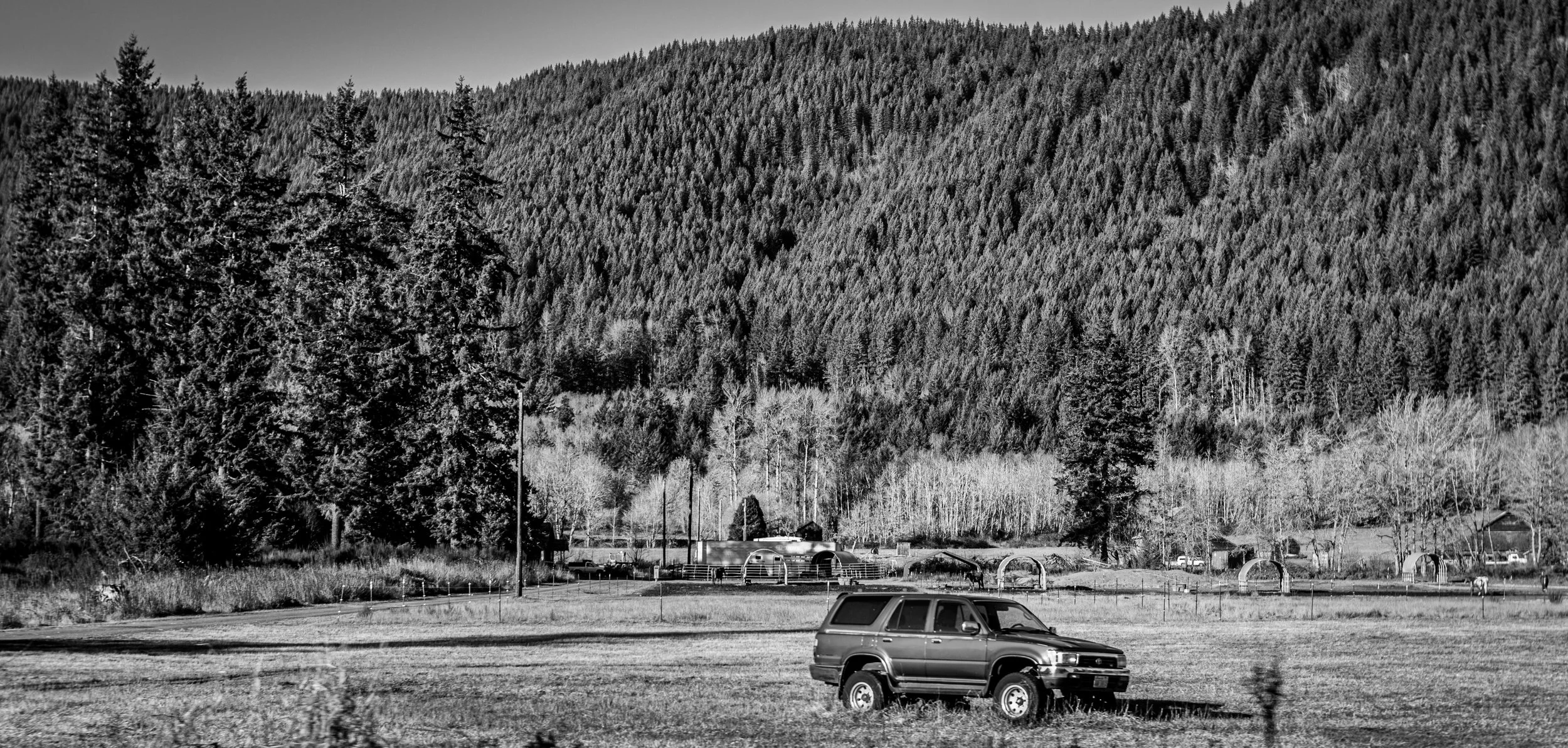 DSC_1746.jpg