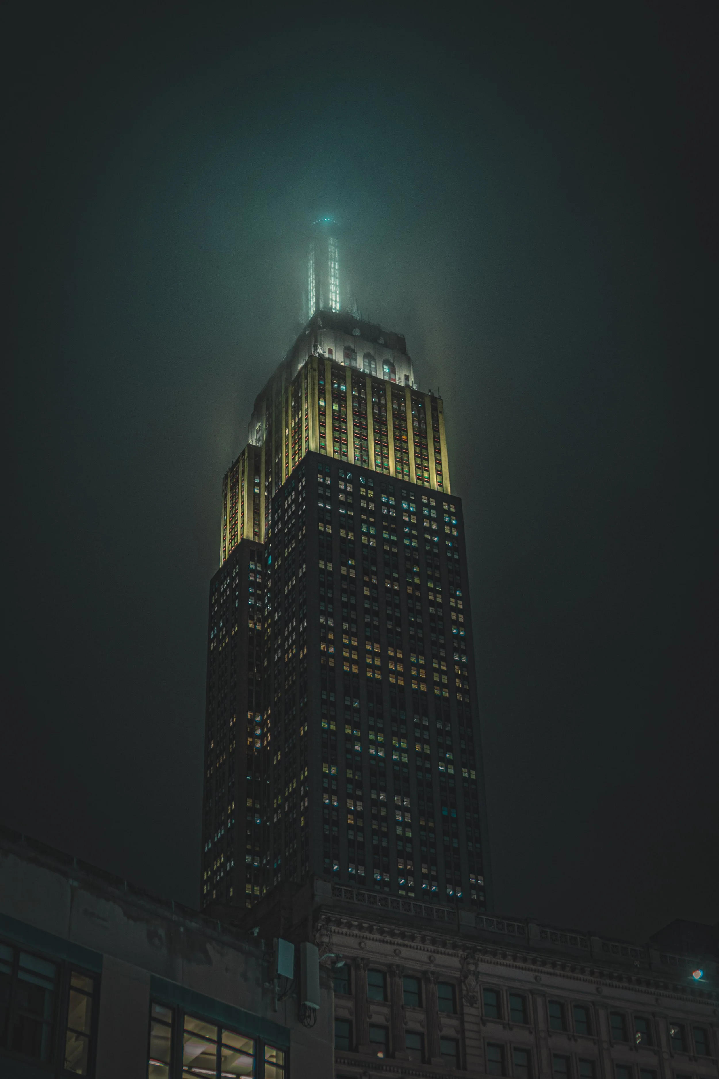 DSC_2342.jpg