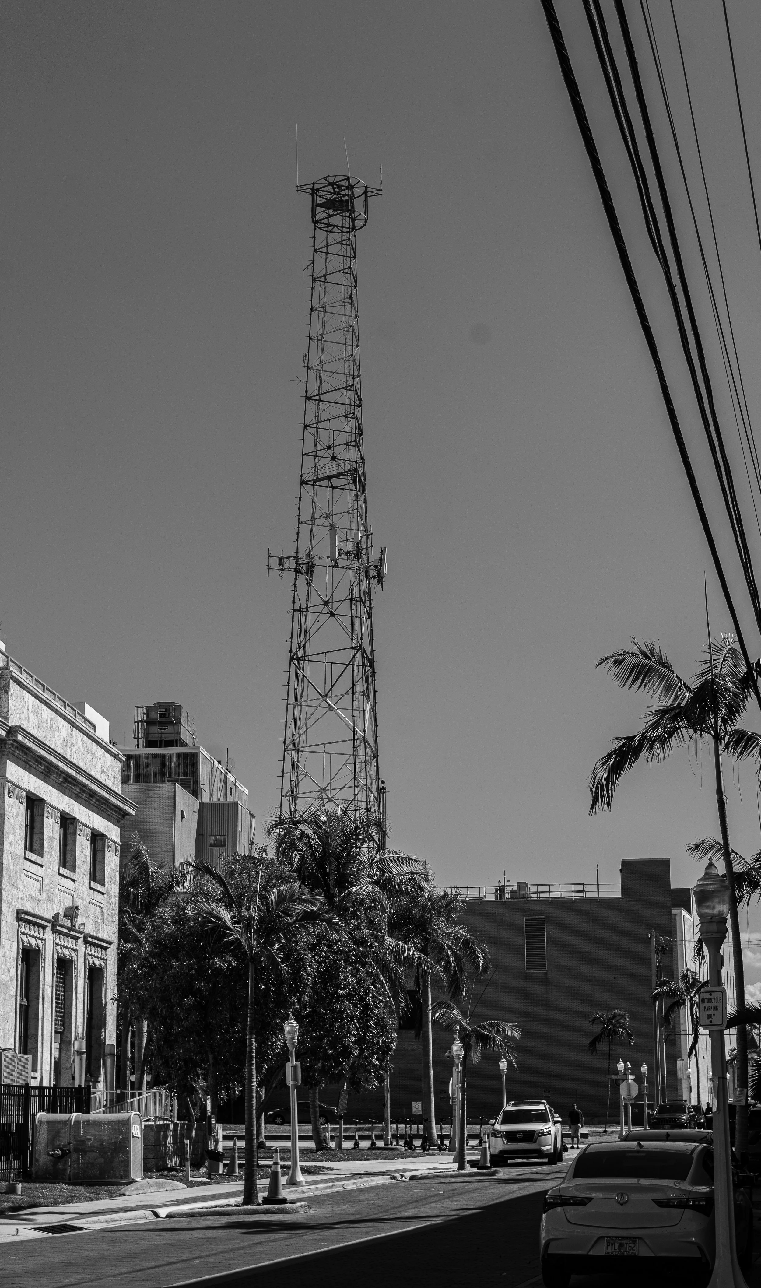 DSC_1845.jpg