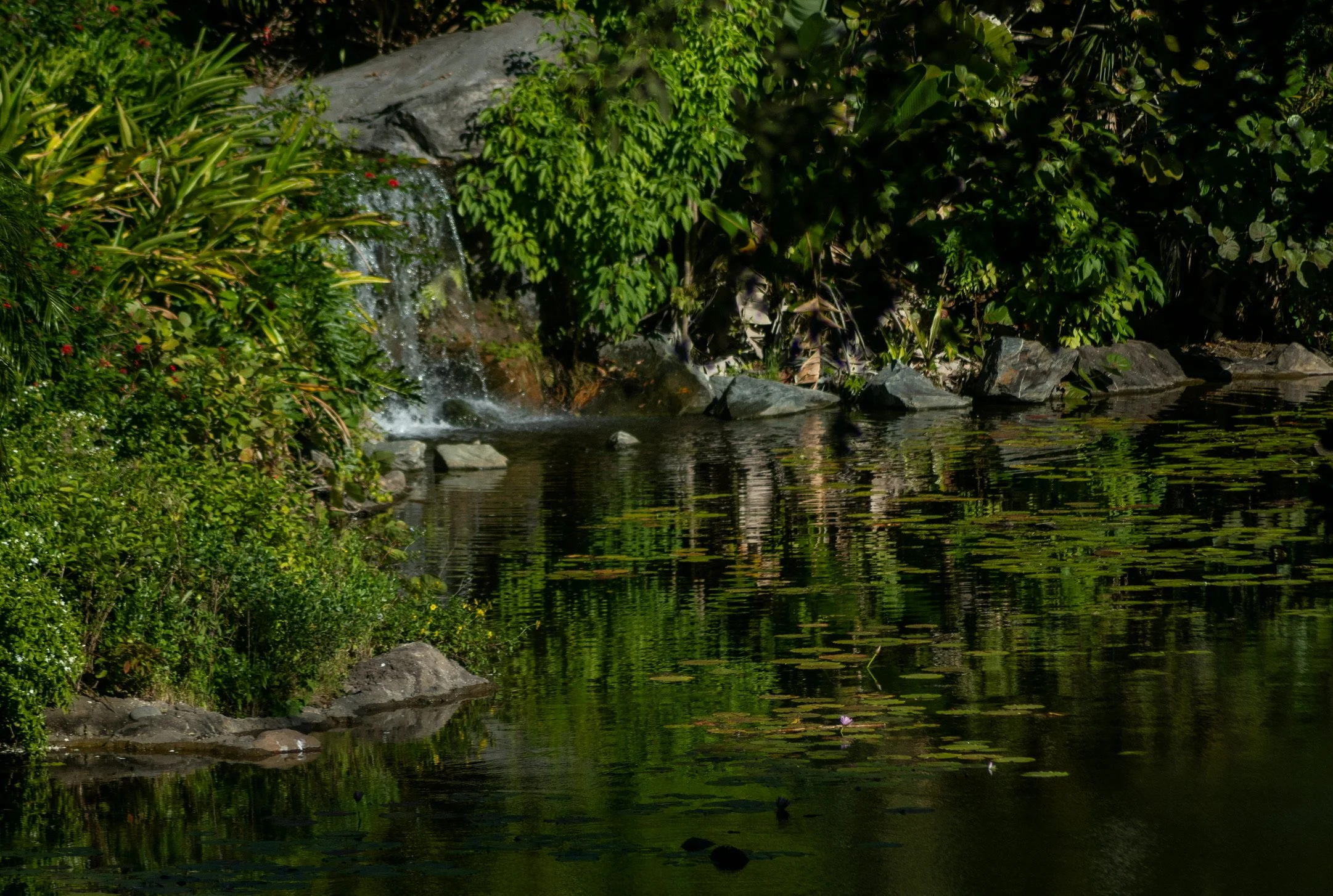 Portfolio-198.JPG