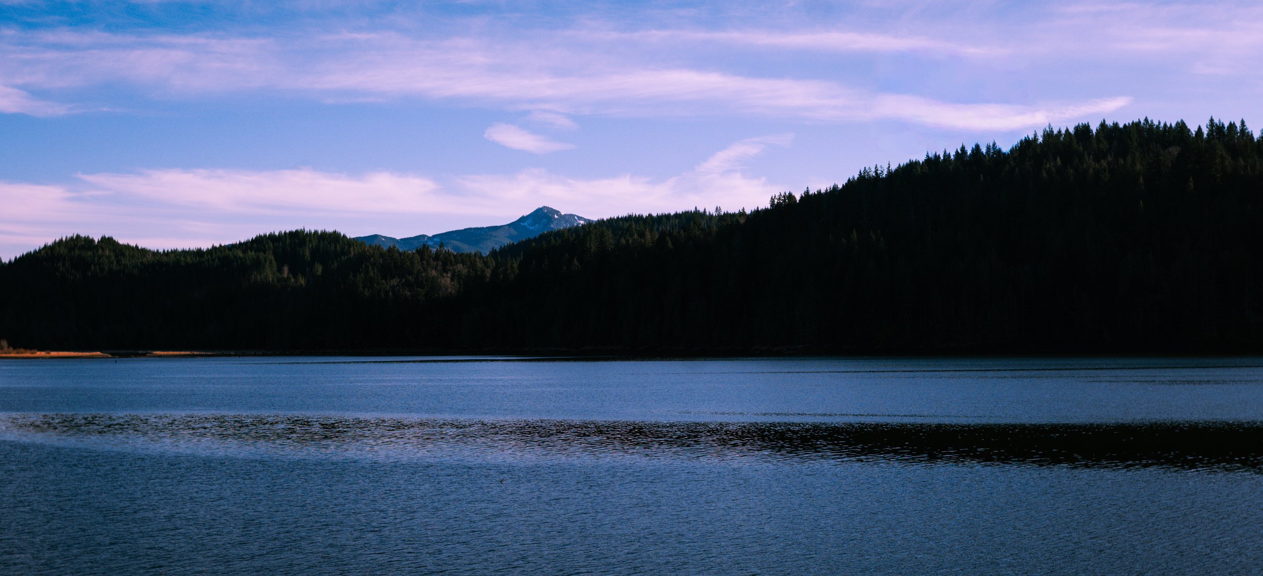 DSC_1790.jpg