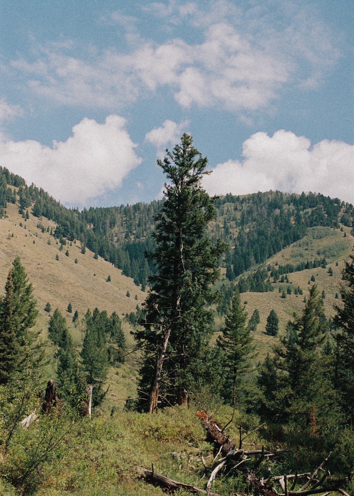 R1-04908-0012.jpg