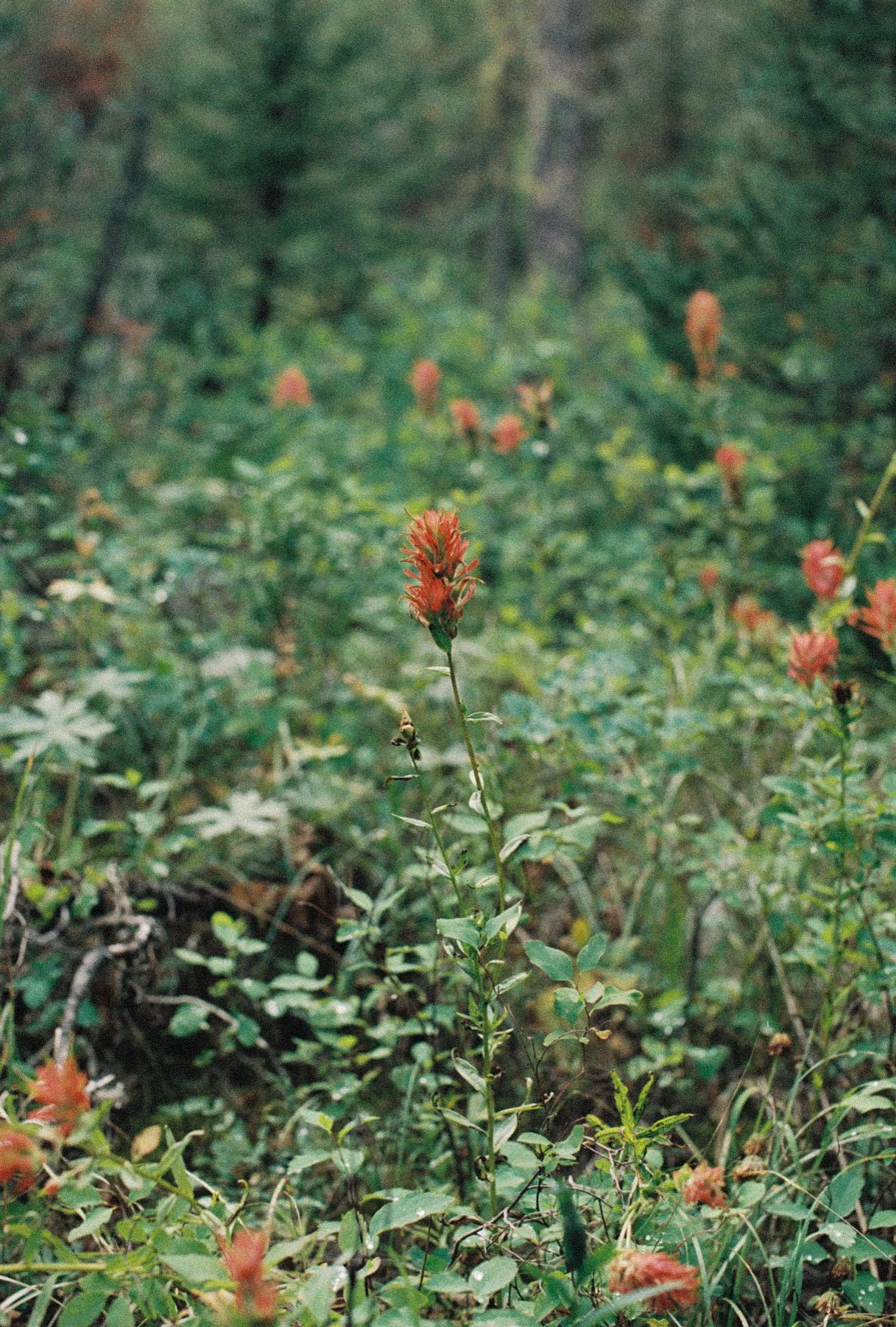 R1-04908-0014.jpg