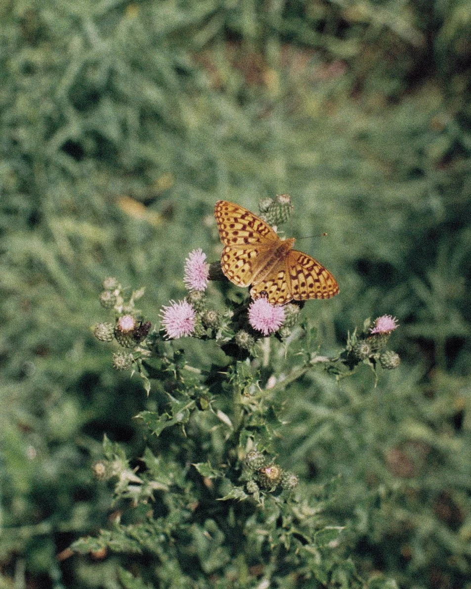 R1-04908-0022.jpg