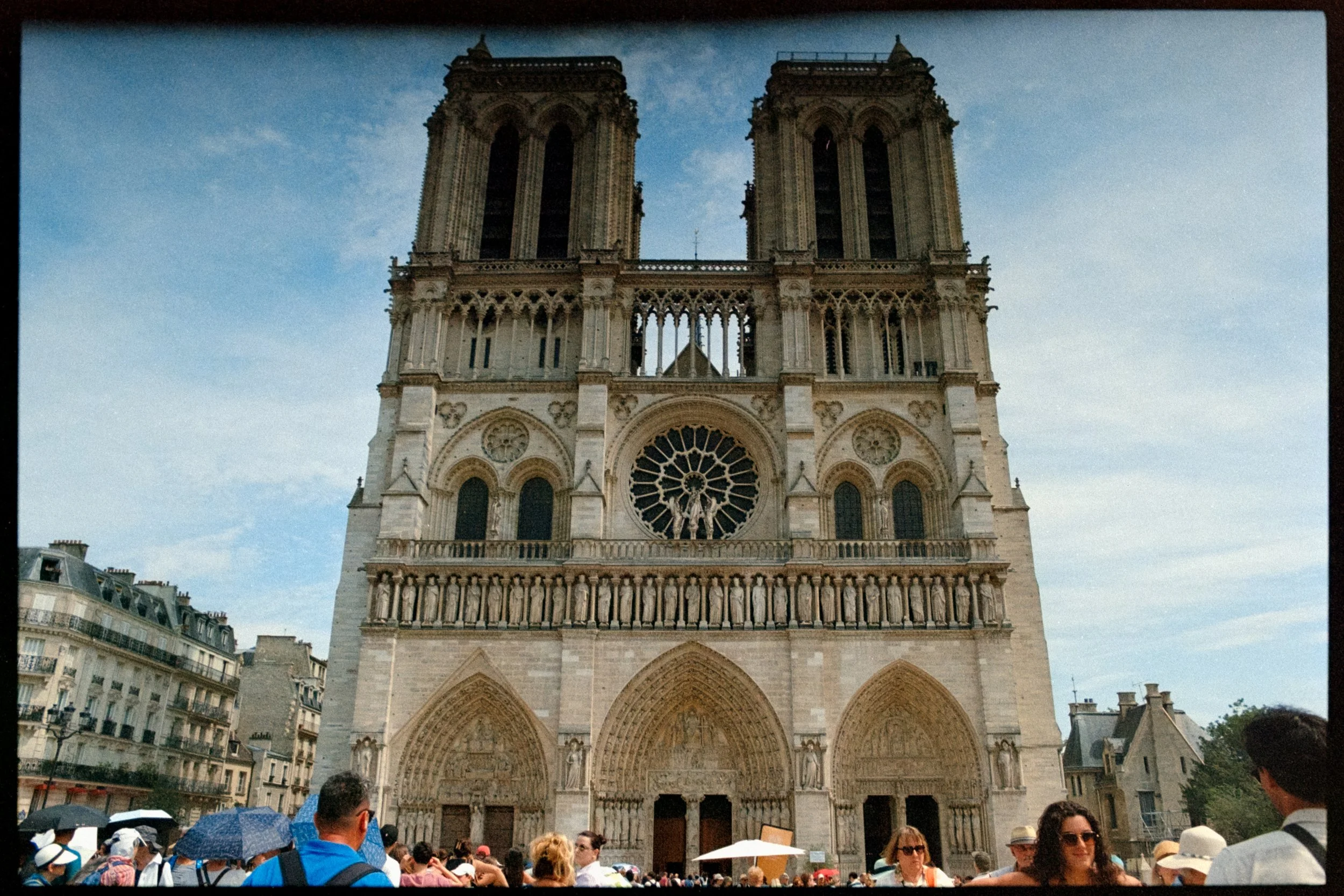 DSCF7784.jpg