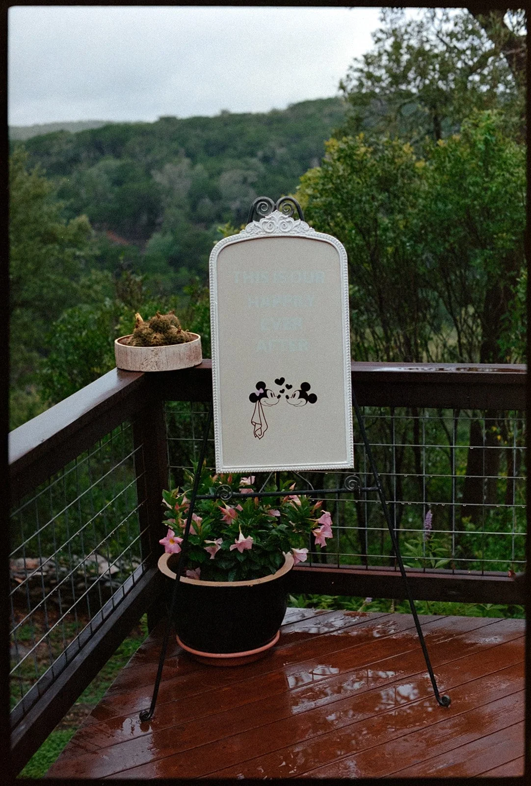 DSCF5508.jpg