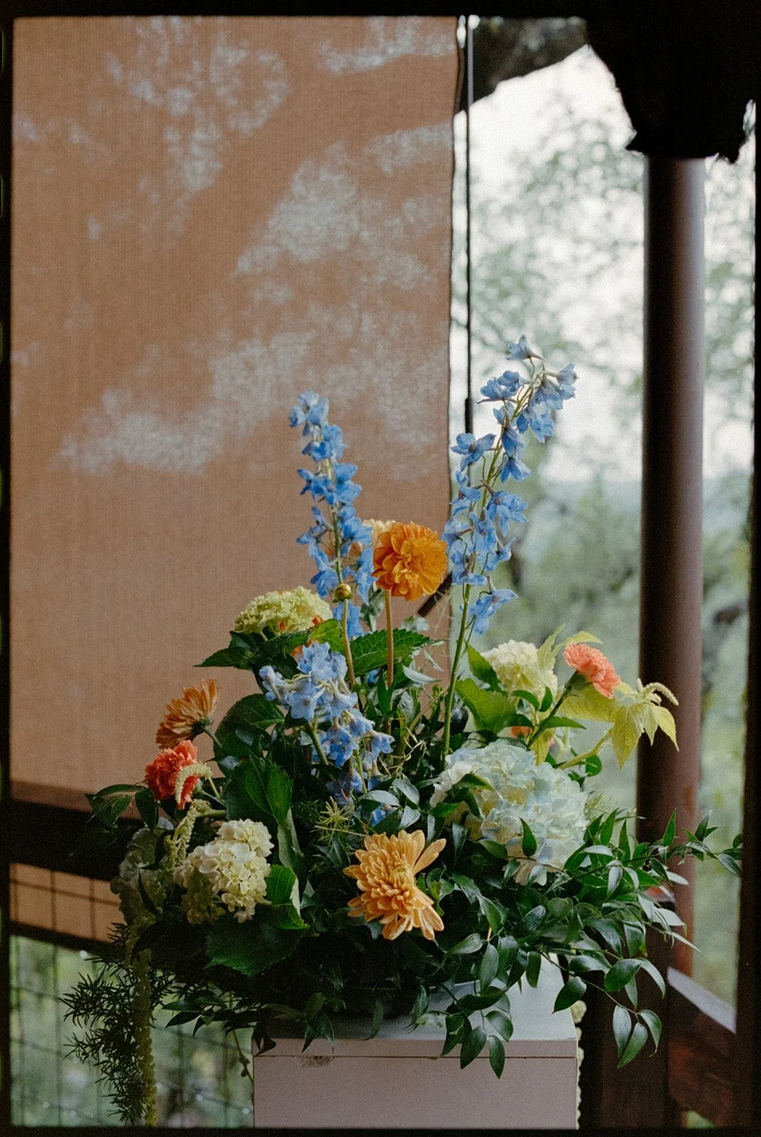 DSCF5507.jpg