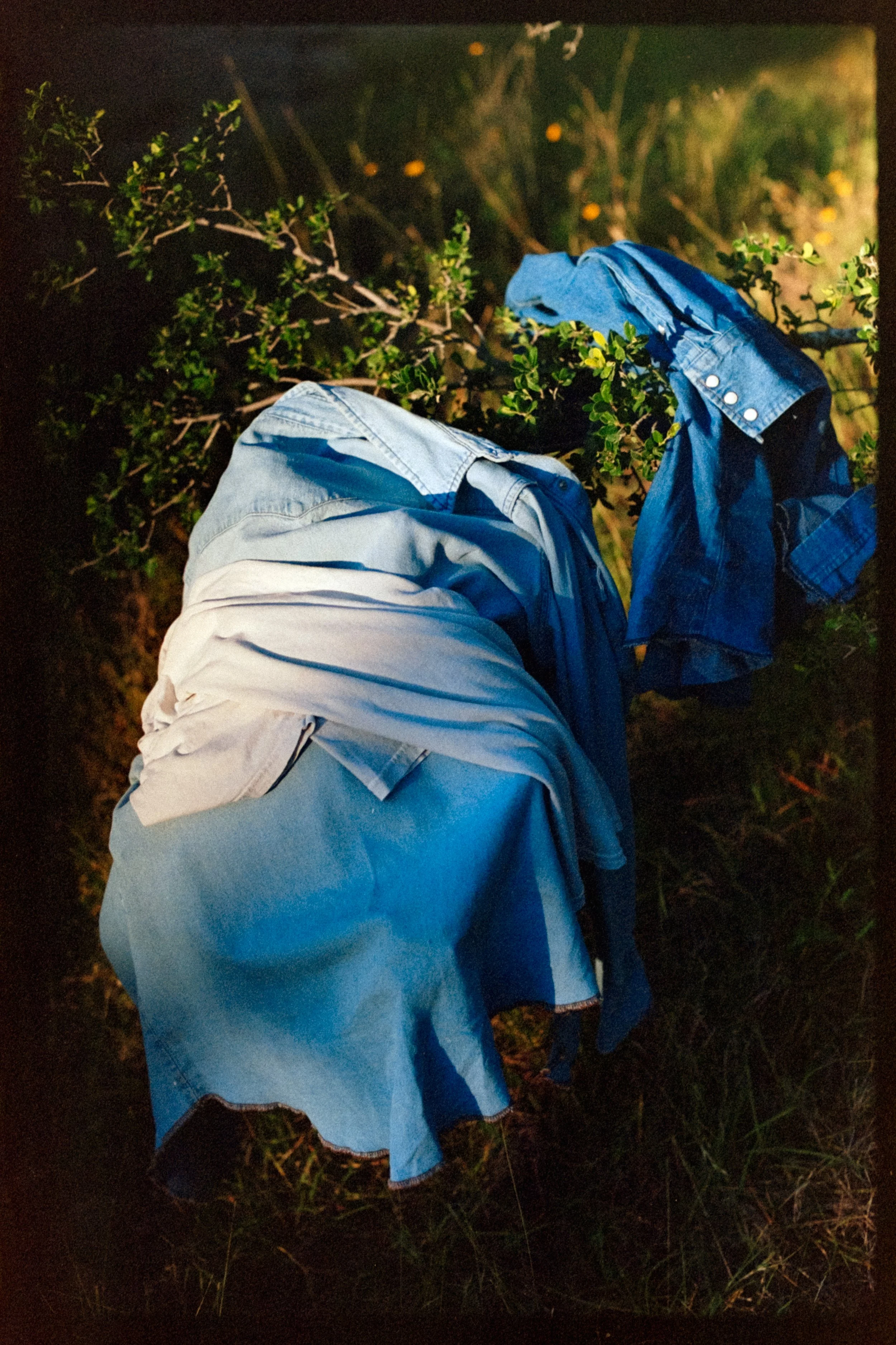 DSCF5170.jpg