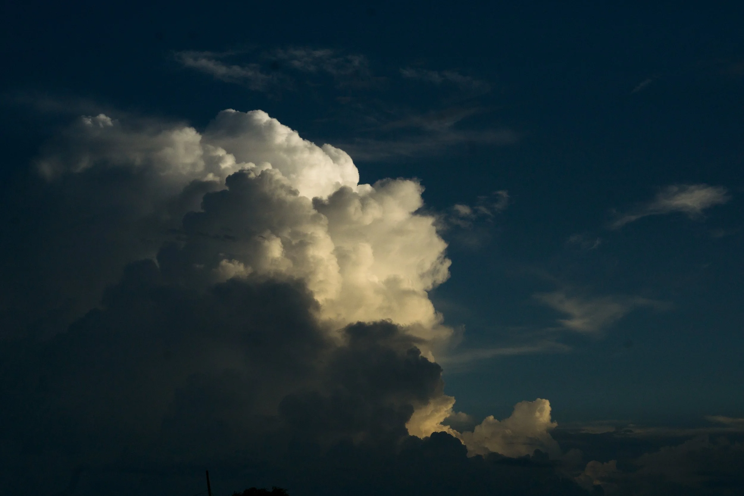DSC07120.jpg
