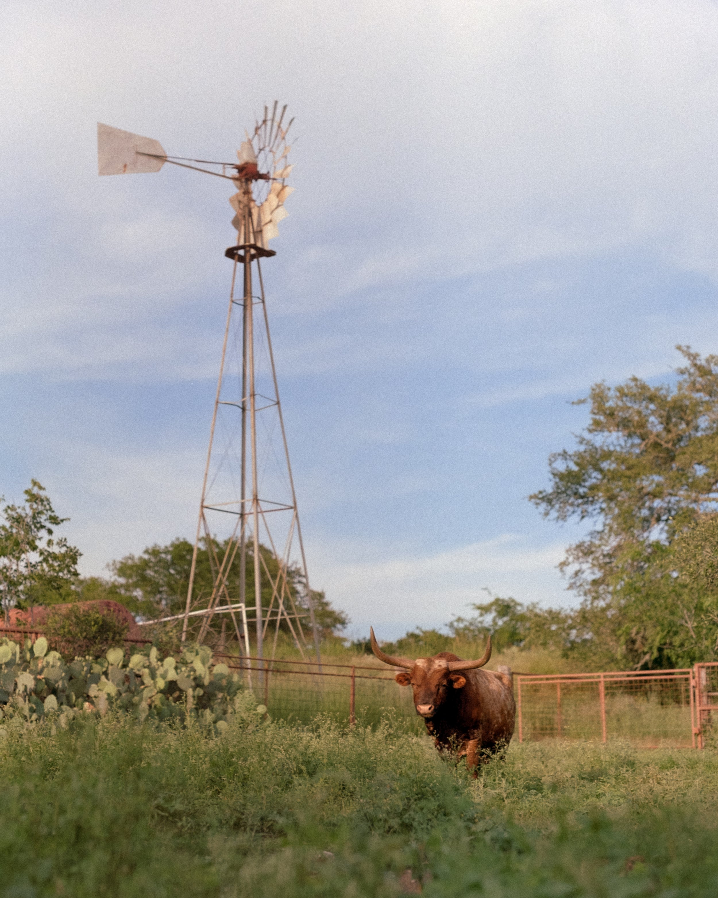 DSCF4174.jpg