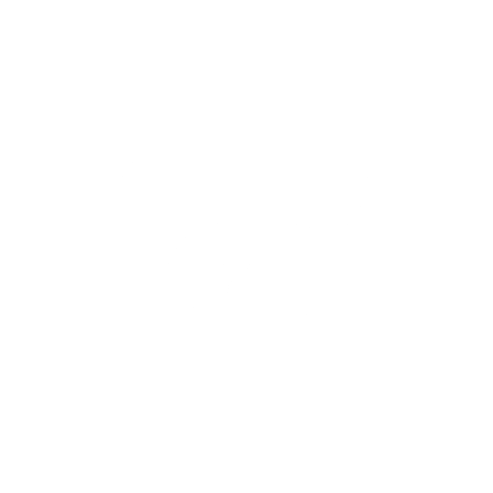 Boychuk Media.png