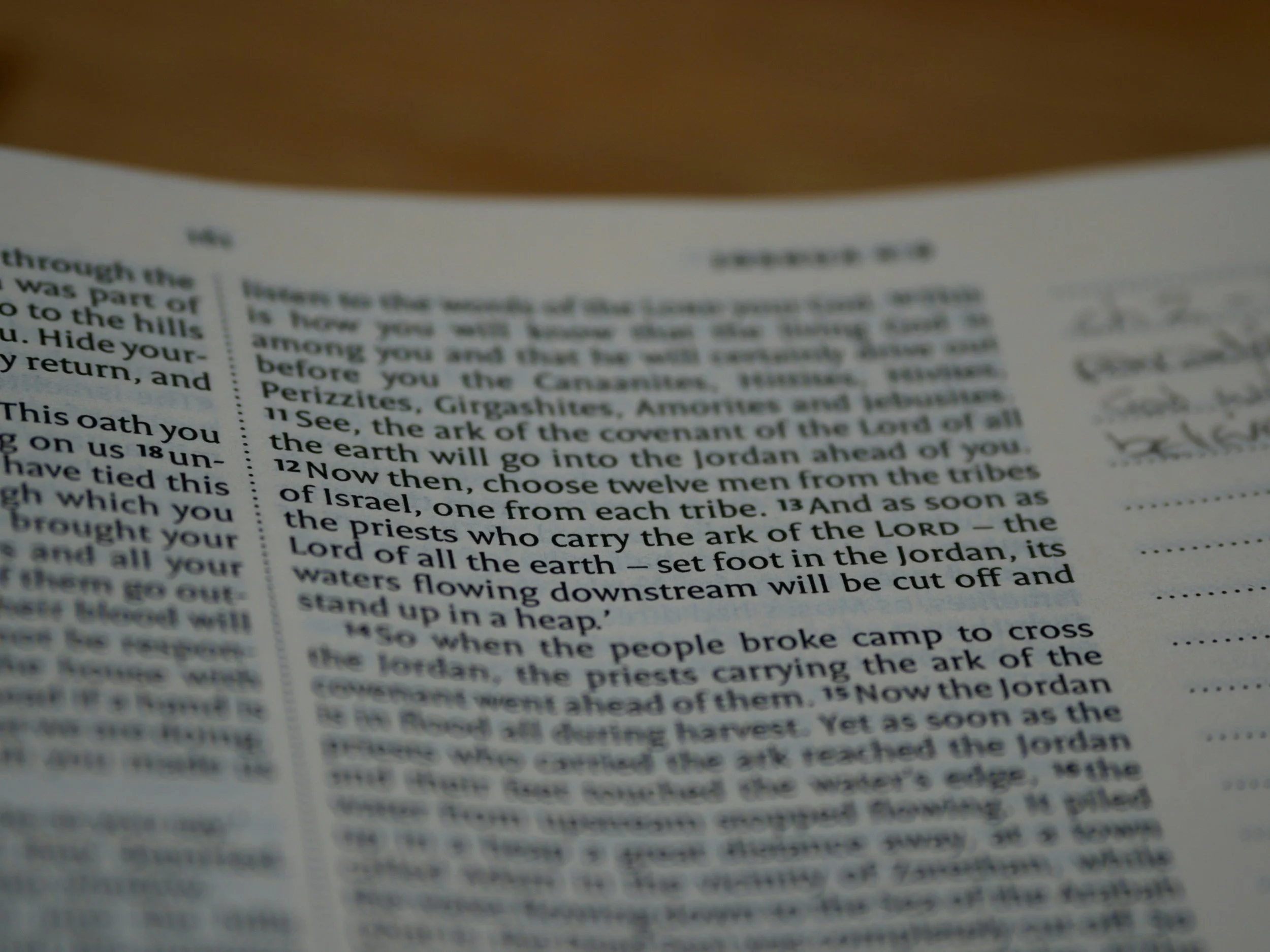 Picture of Bible pages